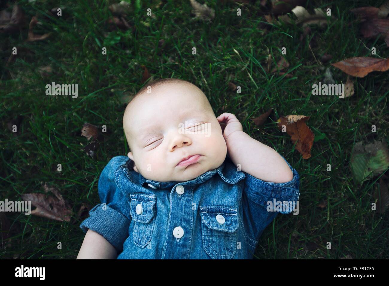 Baby boy indossando il denim shirt giacente su foglie di autunno ricoperto di erba gli occhi chiusi Foto Stock