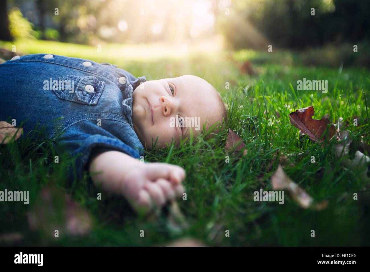 Baby boy indossando il denim shirt giacente su foglie di autunno ricoperto di erba in presenza di luce solare che guarda lontano Foto Stock