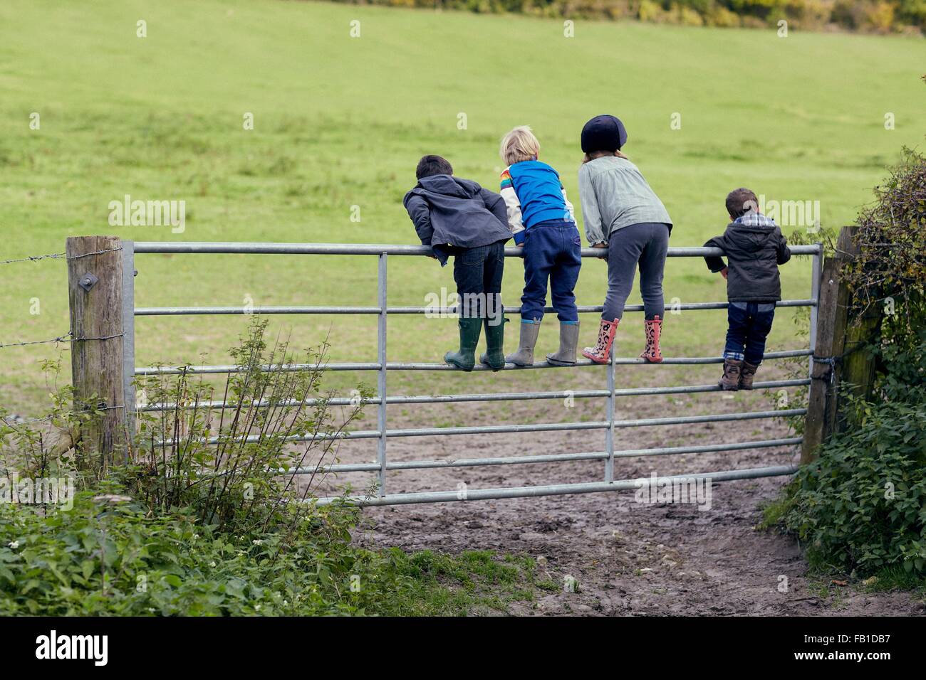 Vista posteriore di quattro giovani bambini in piedi sulla porta guardando fuori campo Foto Stock
