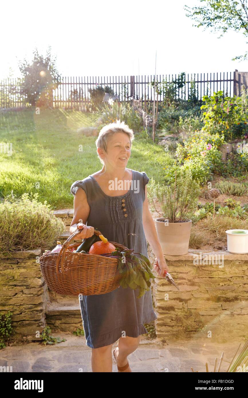 Donna matura il giardinaggio, camminando con cesto di ortaggi freschi Foto Stock