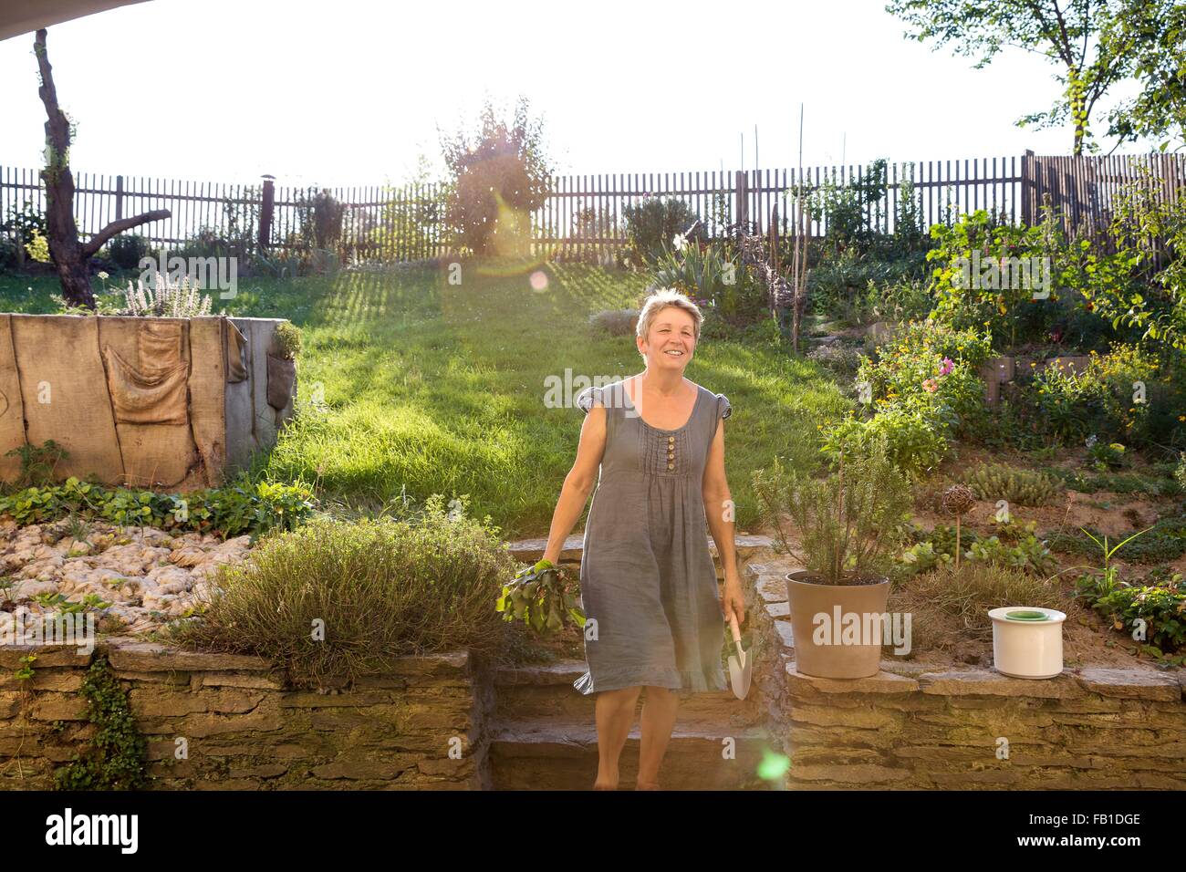 Donna matura il giardinaggio, scava in ortaggi freschi Foto Stock