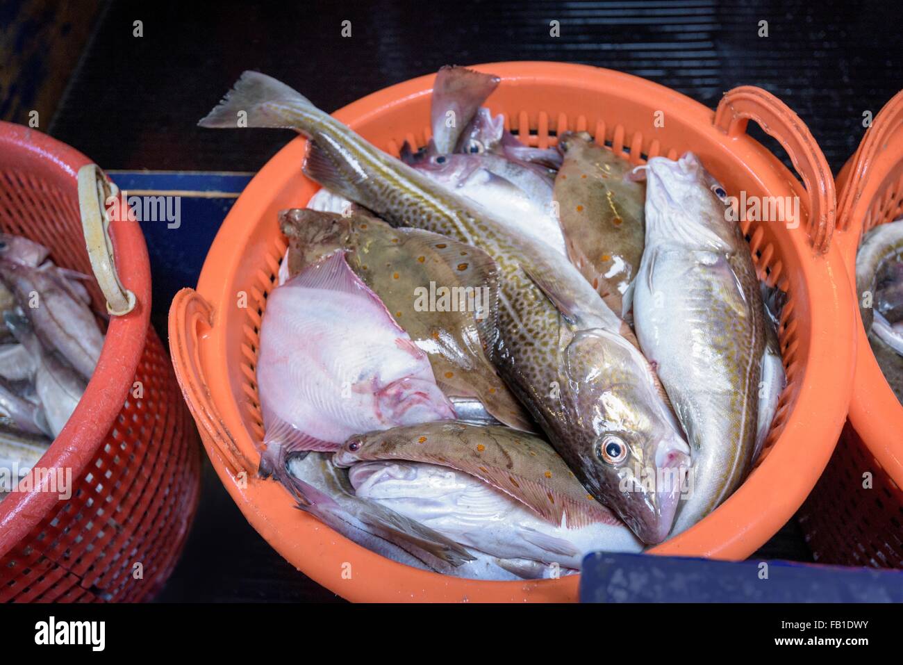 Cestini di appena pescato il pesce assortito sul peschereccio per traino Foto Stock