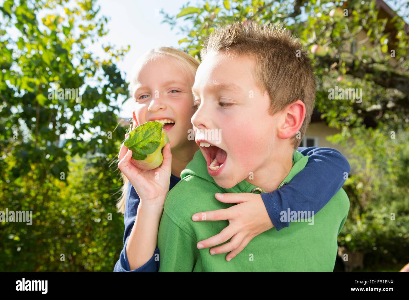 Ritratto di ragazzo e sorella con raccolte da Apple Orchard Foto Stock