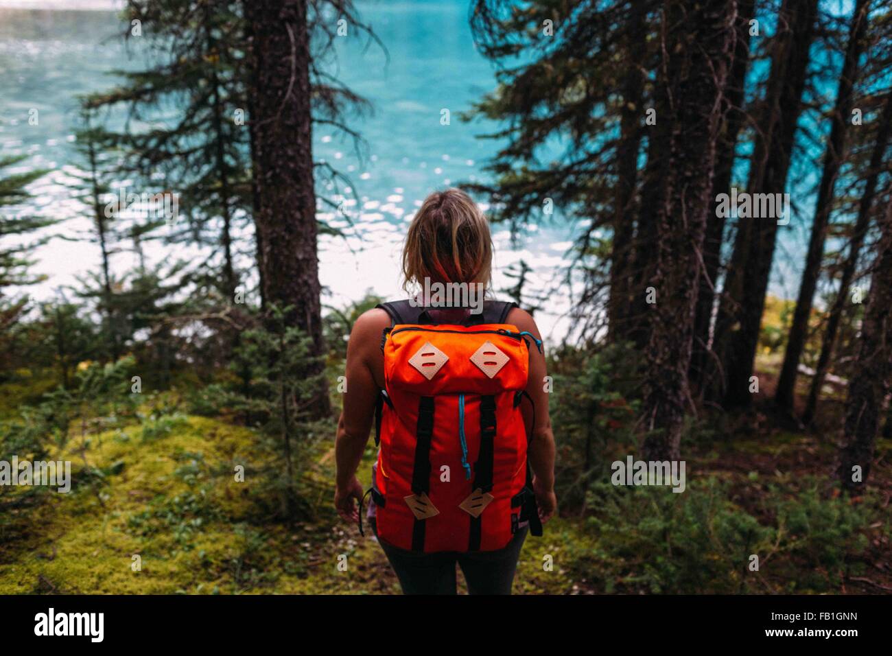 Vista posteriore metà donna adulta che trasportano il colore arancione zaino acqua foresta Moraine Lake il Parco Nazionale di Banff Alberta Canada Foto Stock