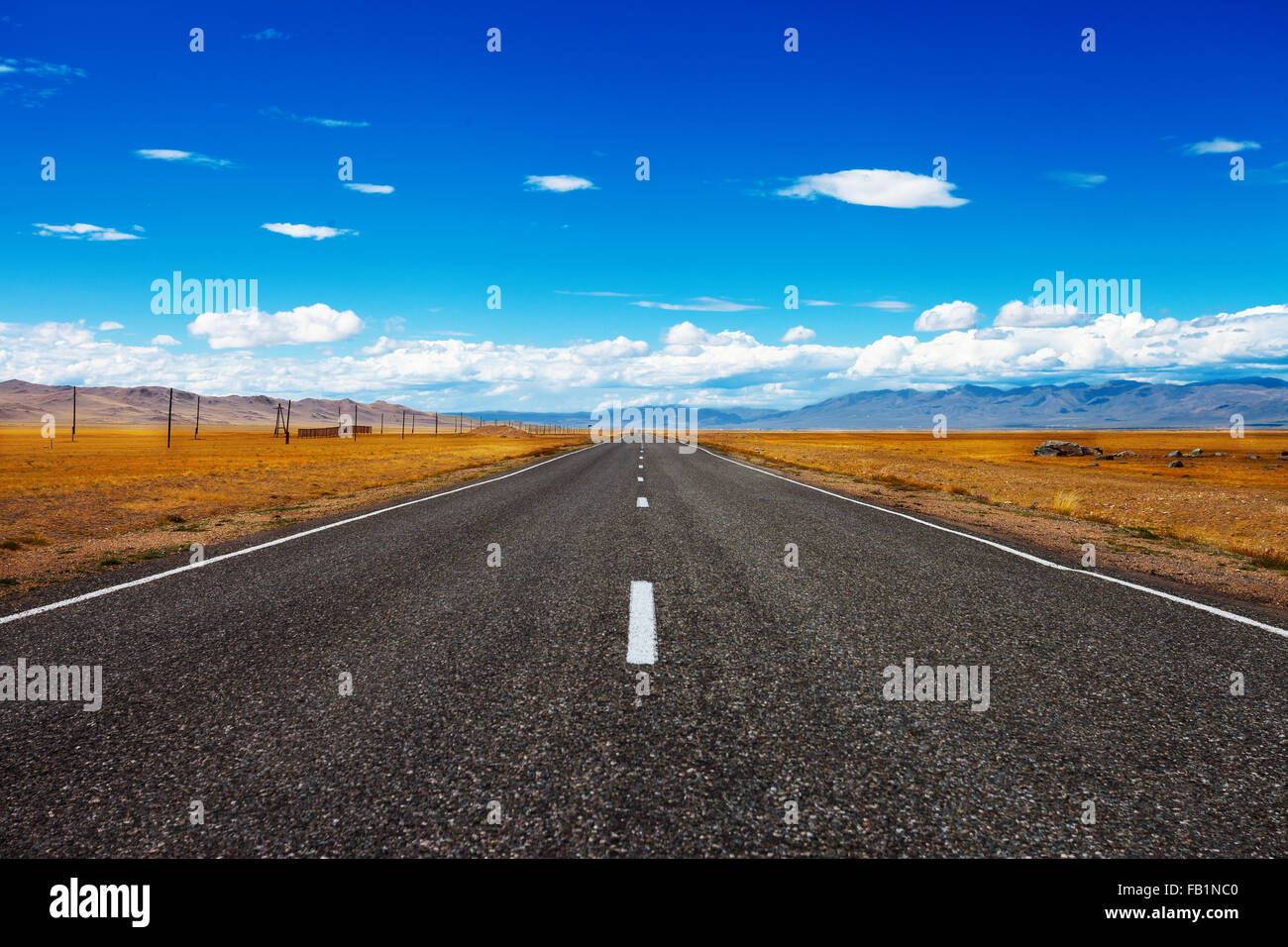 Paesaggio rurale con strada asfaltata attraverso la prateria e nubi sul cielo blu nel giorno di estate Foto Stock