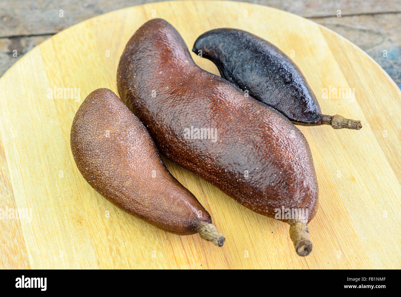 Carruba.frutta tropicale Jatoba chiamato. Foto Stock