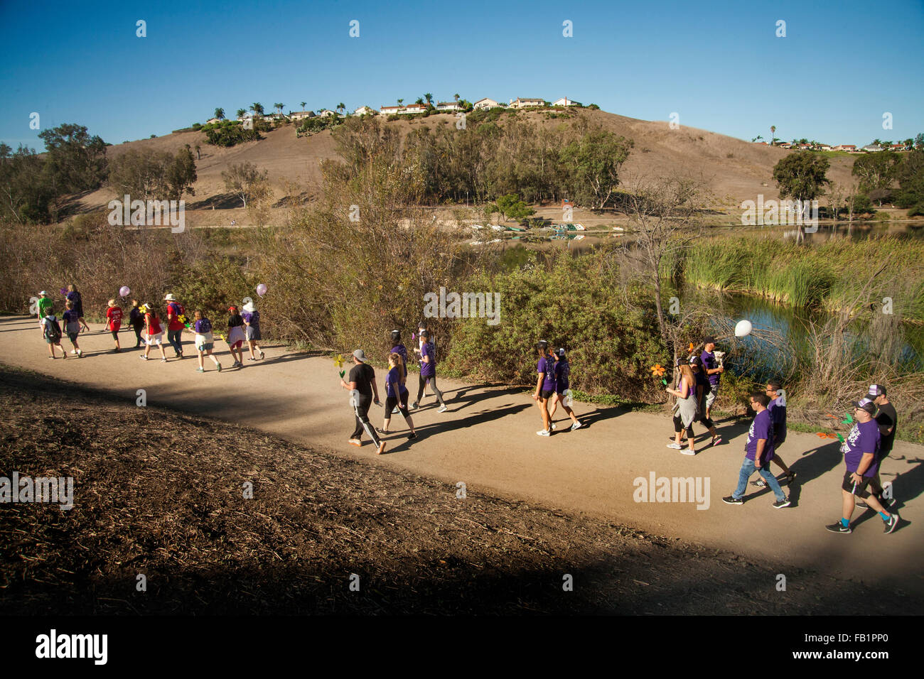 I partecipanti in una raccolta fondi di beneficenza per le vittime dell'Alzheimer a piedi in una Laguna Niguel, CA, parco. Nota viola commemorative T-shirt assegnati per le donazioni. Foto Stock