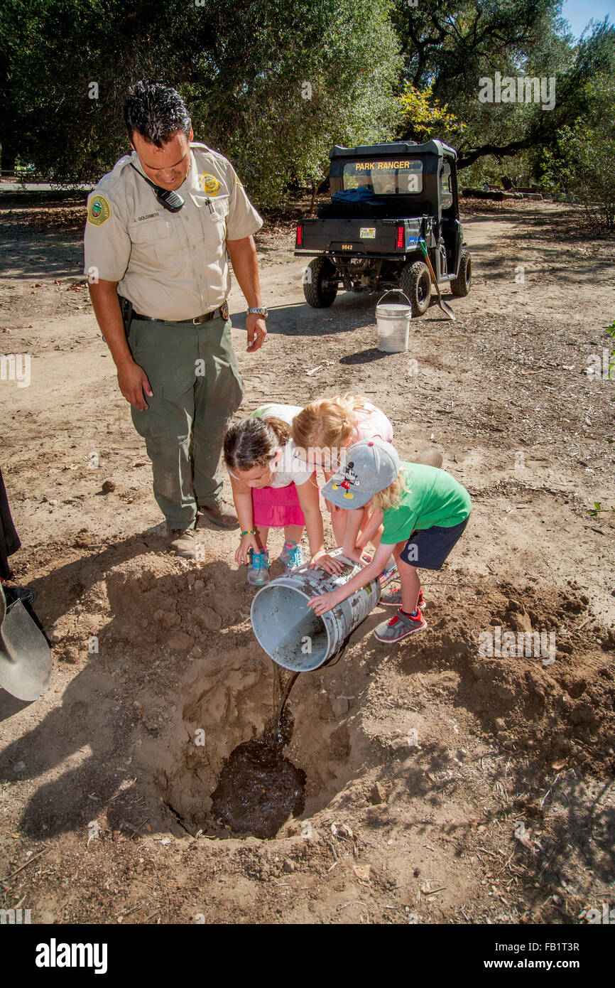 Bambini locali versare acqua in una fresca buco scavato prima di piantare un albero di quercia in un Rancho Santa Margarita, CA, parco statale. Nota uniformata ranger del parco e veicolo fuoristrada (ATV). Foto Stock