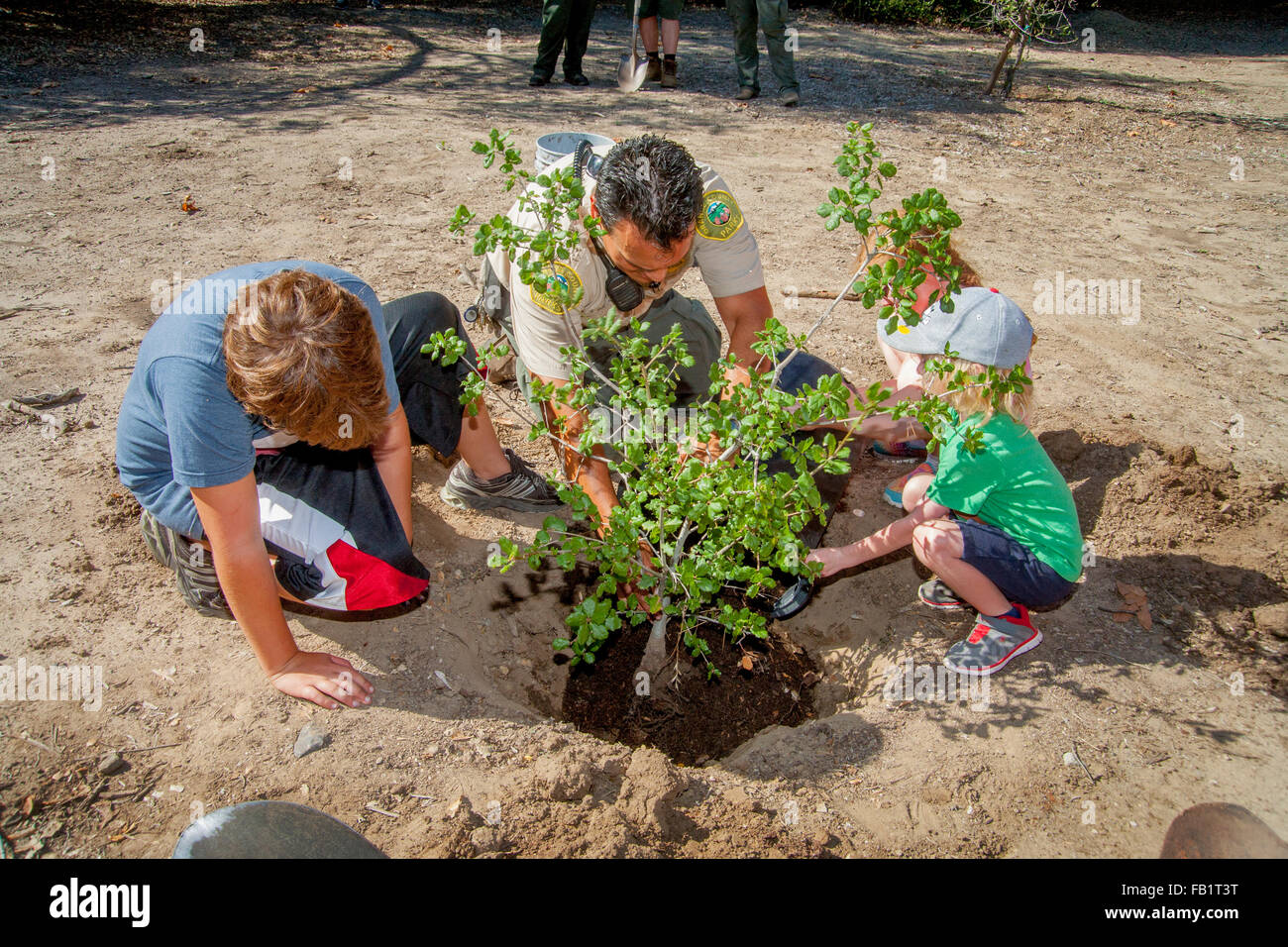Dopo l'irrigazione, bambini locale impianto di una giovane quercia in un Rancho Santa Margarita, CA, parco statale. Nota uniformata ranger del parco. Foto Stock