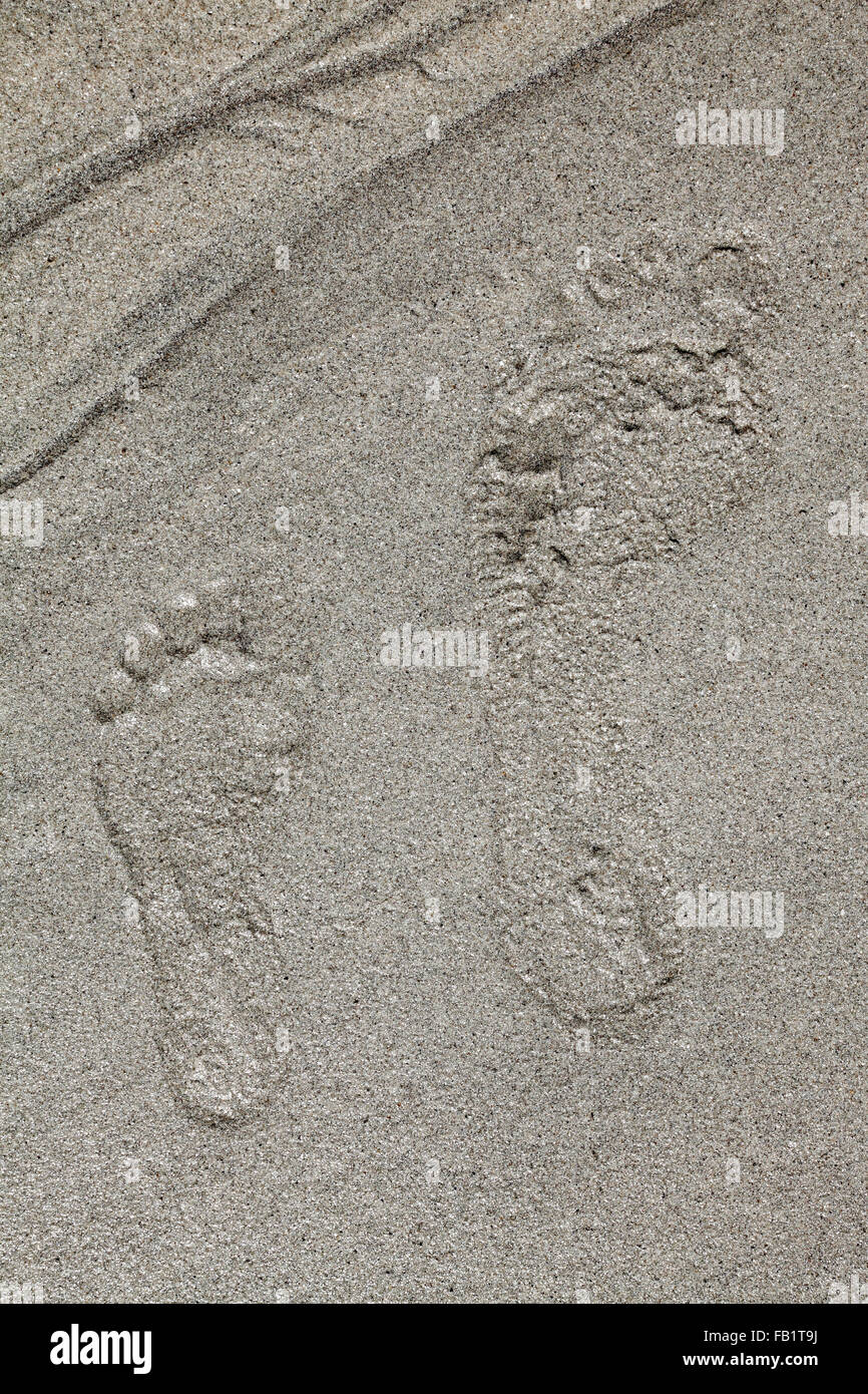 Footprint di un bambino e un adulto nella sabbia di una spiaggia Foto Stock