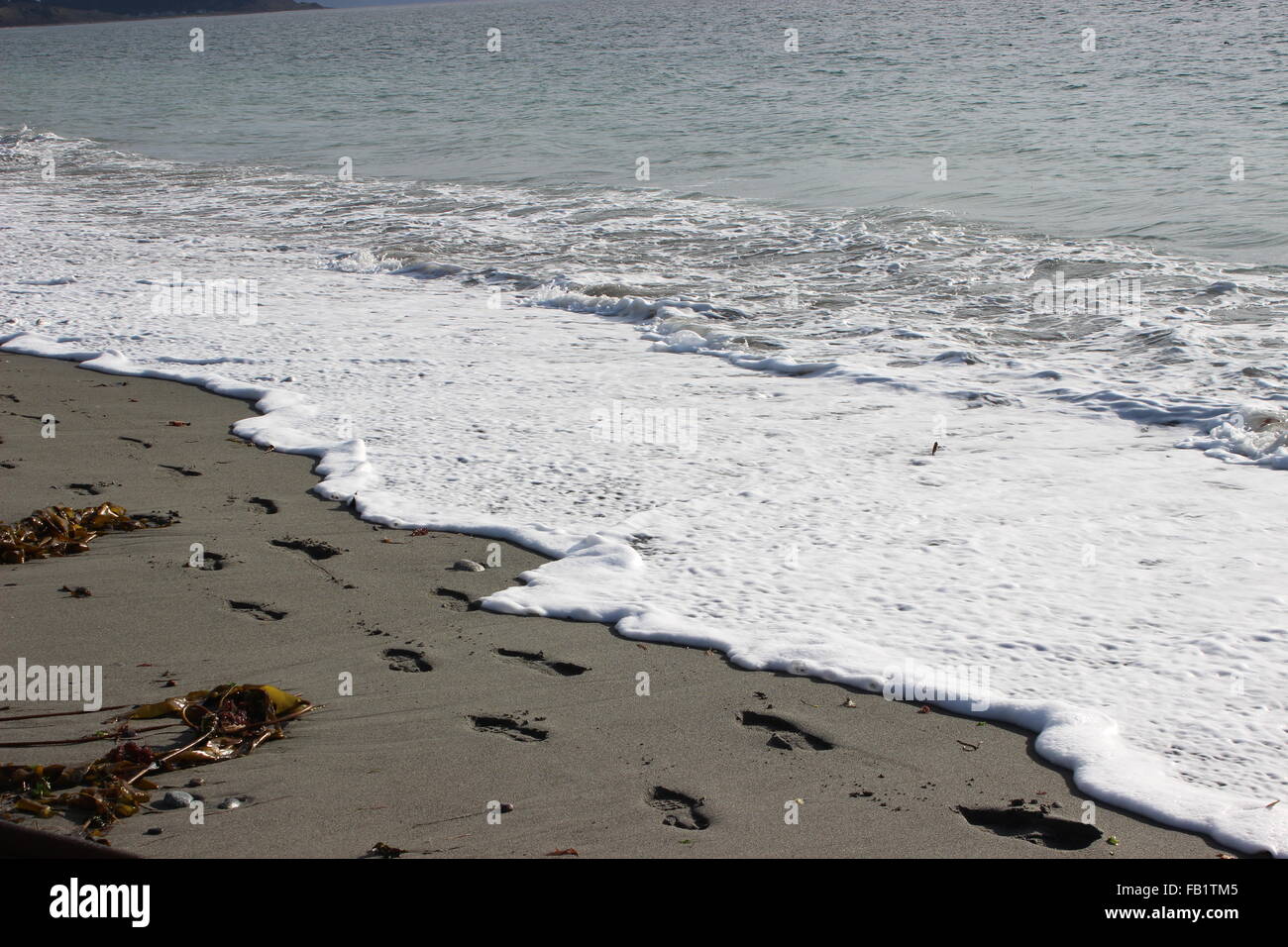 Impronte in riva Foto Stock