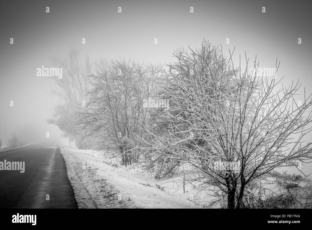 Alberi di neve su una strada in Romania Foto Stock
