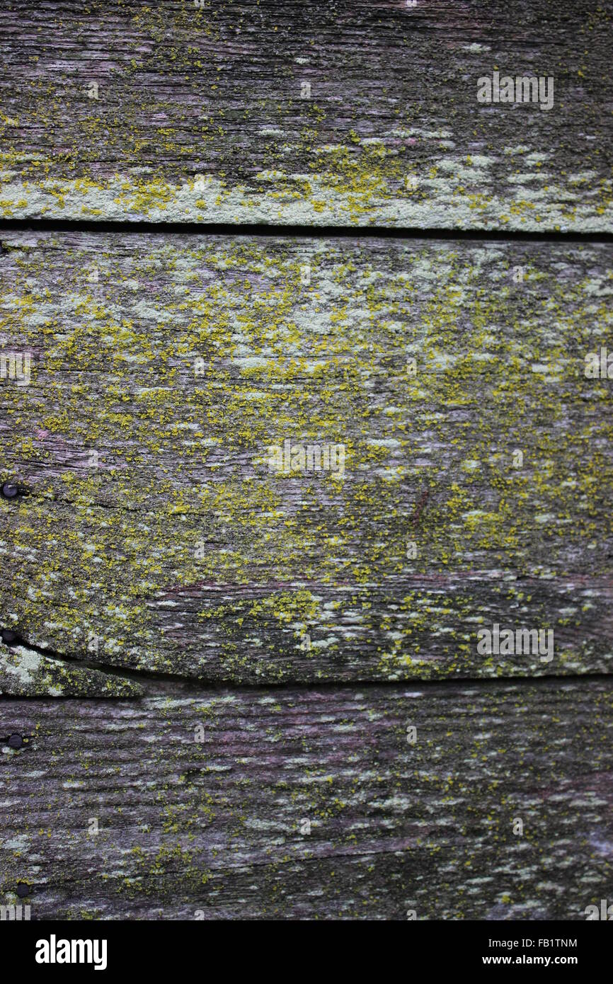 Weathered fienile legno Foto Stock