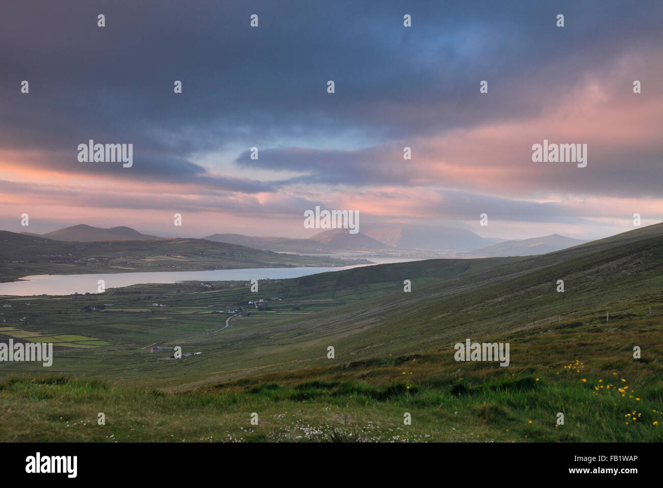 Vista dell' isola Valentia, Co. Kerry, Irlanda Foto Stock