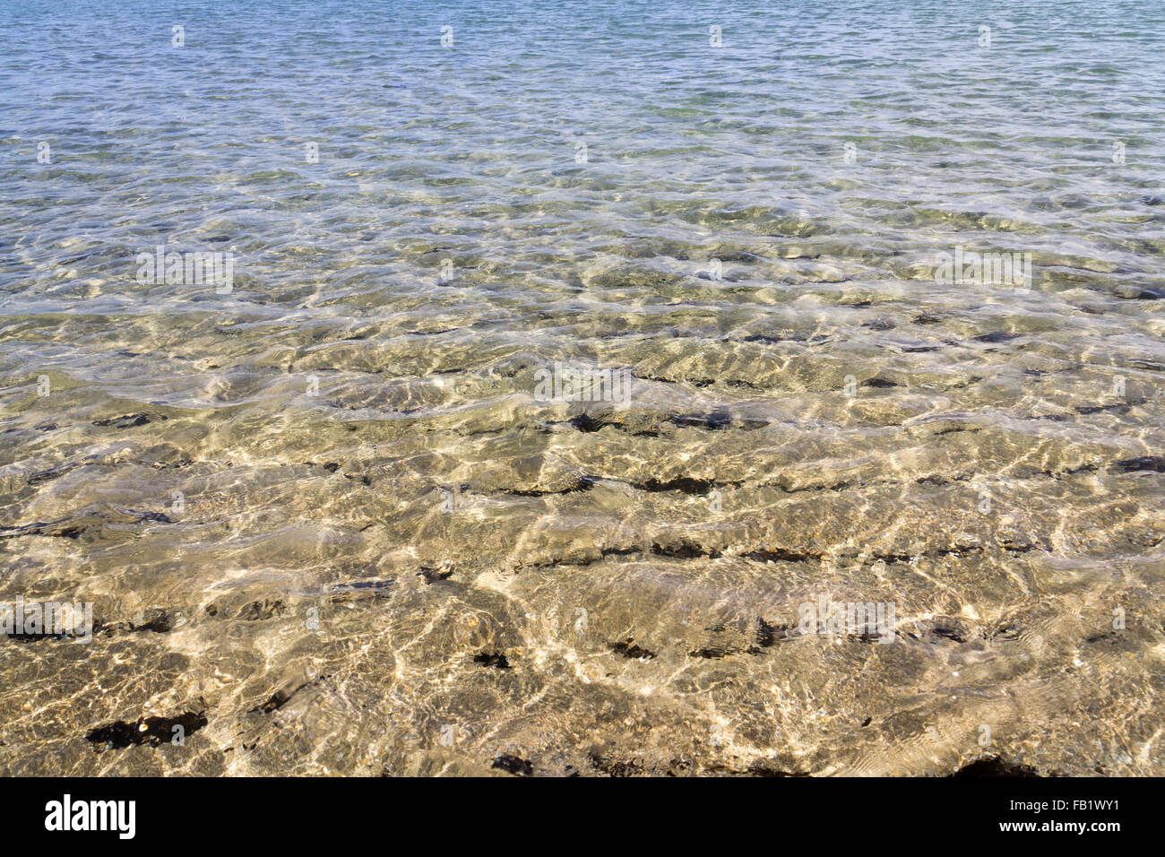 Acqua di mare sfondo spiaggia della Florida Foto Stock