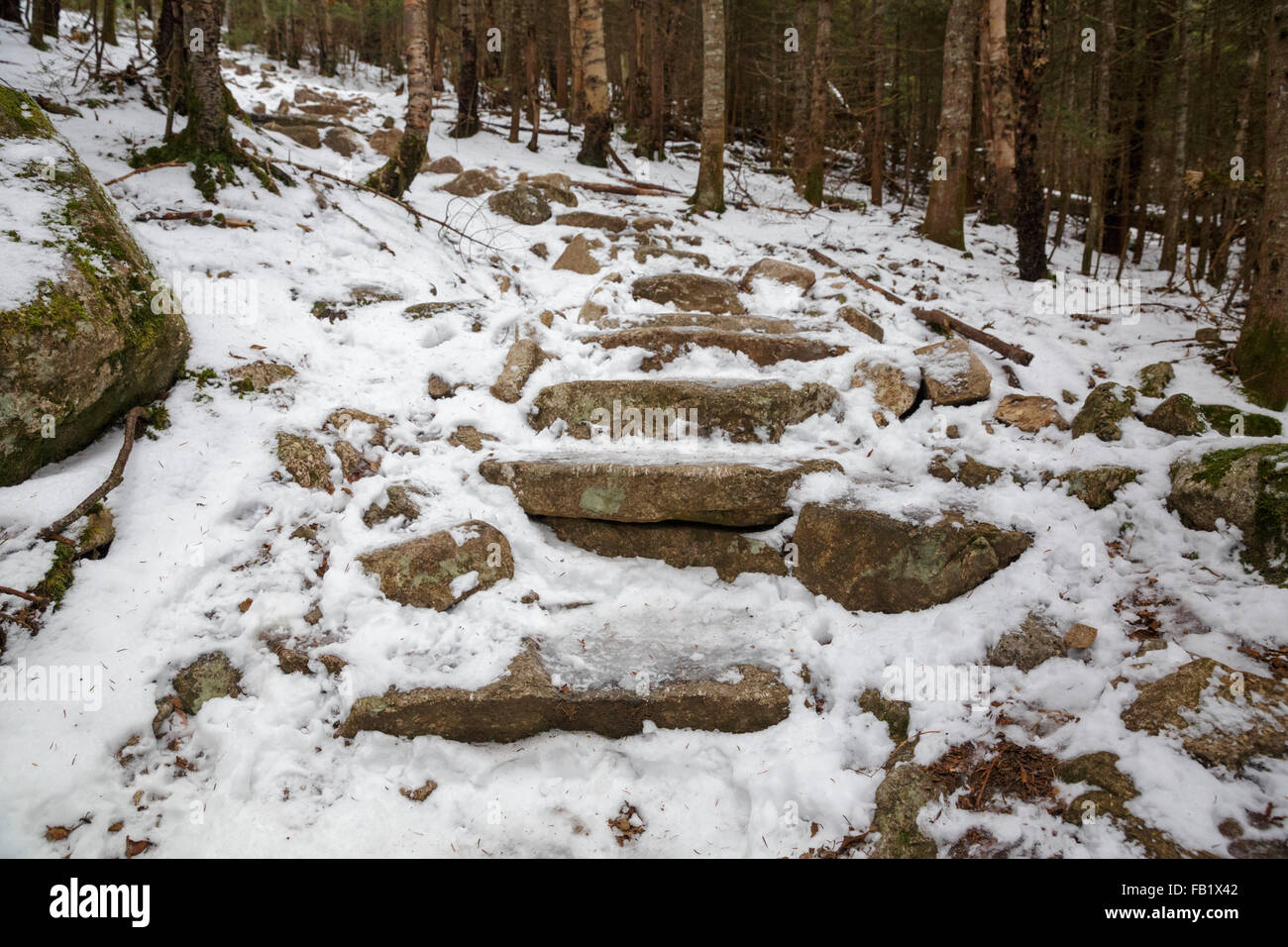 Iced su gradini in pietra lungo il Monte Tecumseh Trail in Waterville Valley, New Hampshire USA Foto Stock