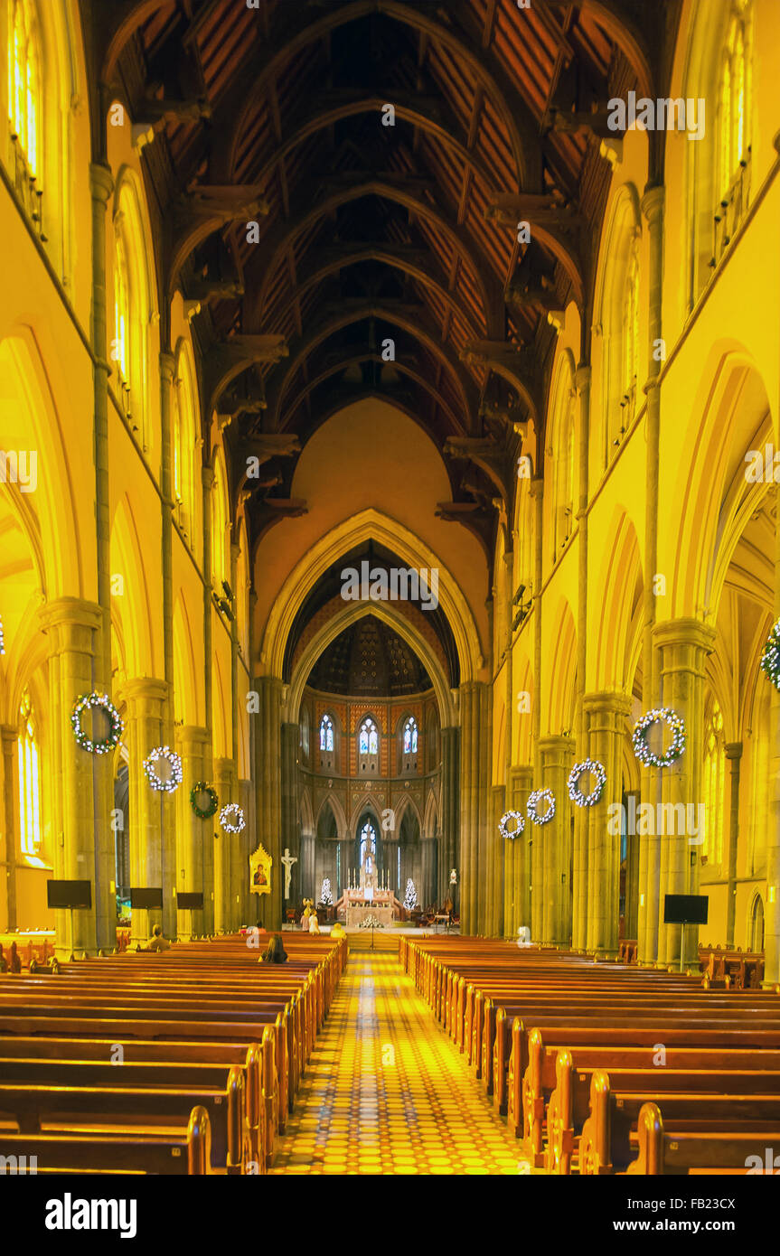 La navata centrale, la Cattedrale di St Patrick, Melbourne, Victoria, Australia Foto Stock