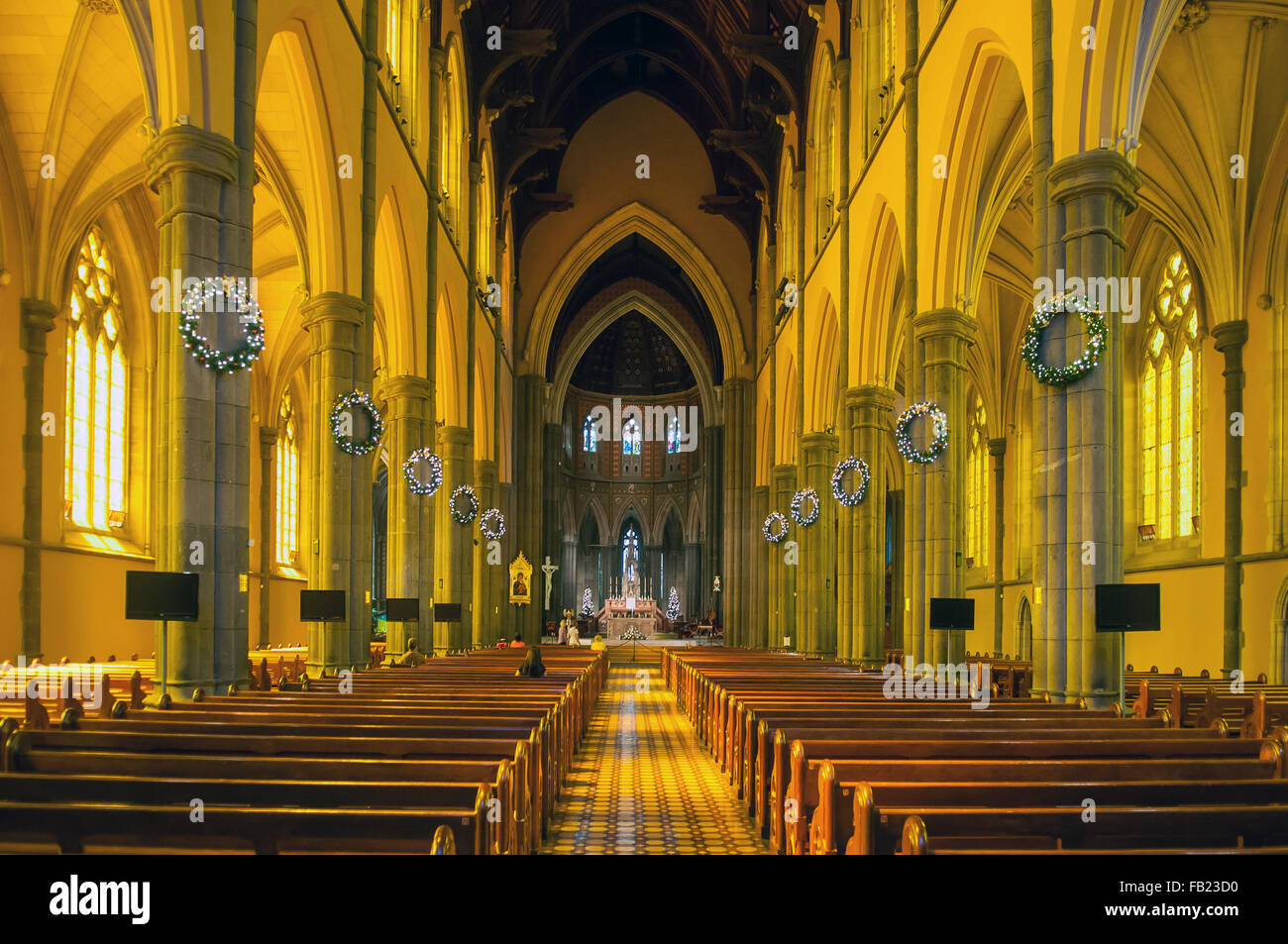La navata centrale, la Cattedrale di St Patrick, Melbourne, Victoria, Australia Foto Stock