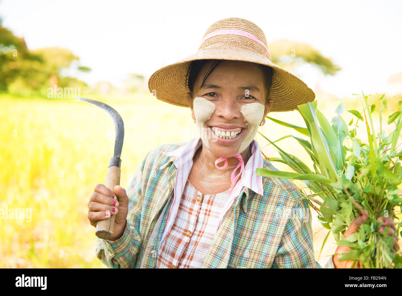 Ritratto di una felice coppia birmano agricoltore femmina con thanaka faccia in polvere che lavora nel settore. Foto Stock