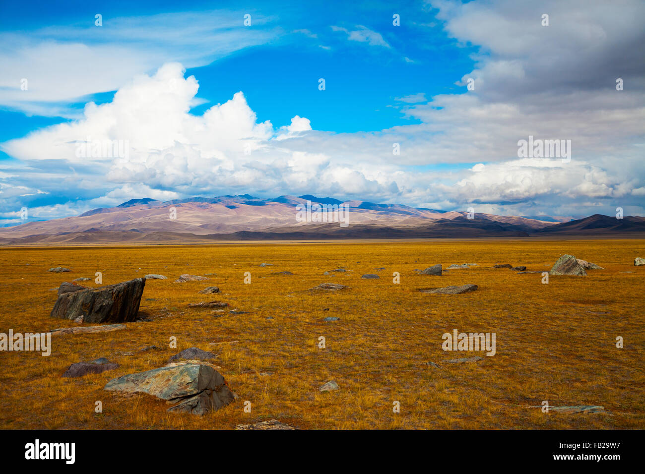 Steppa multicolore paesaggio con grande pietra in primo piano, vista montagne, cielo blu con nuvole. Chuya steppa, Kuray passo Foto Stock