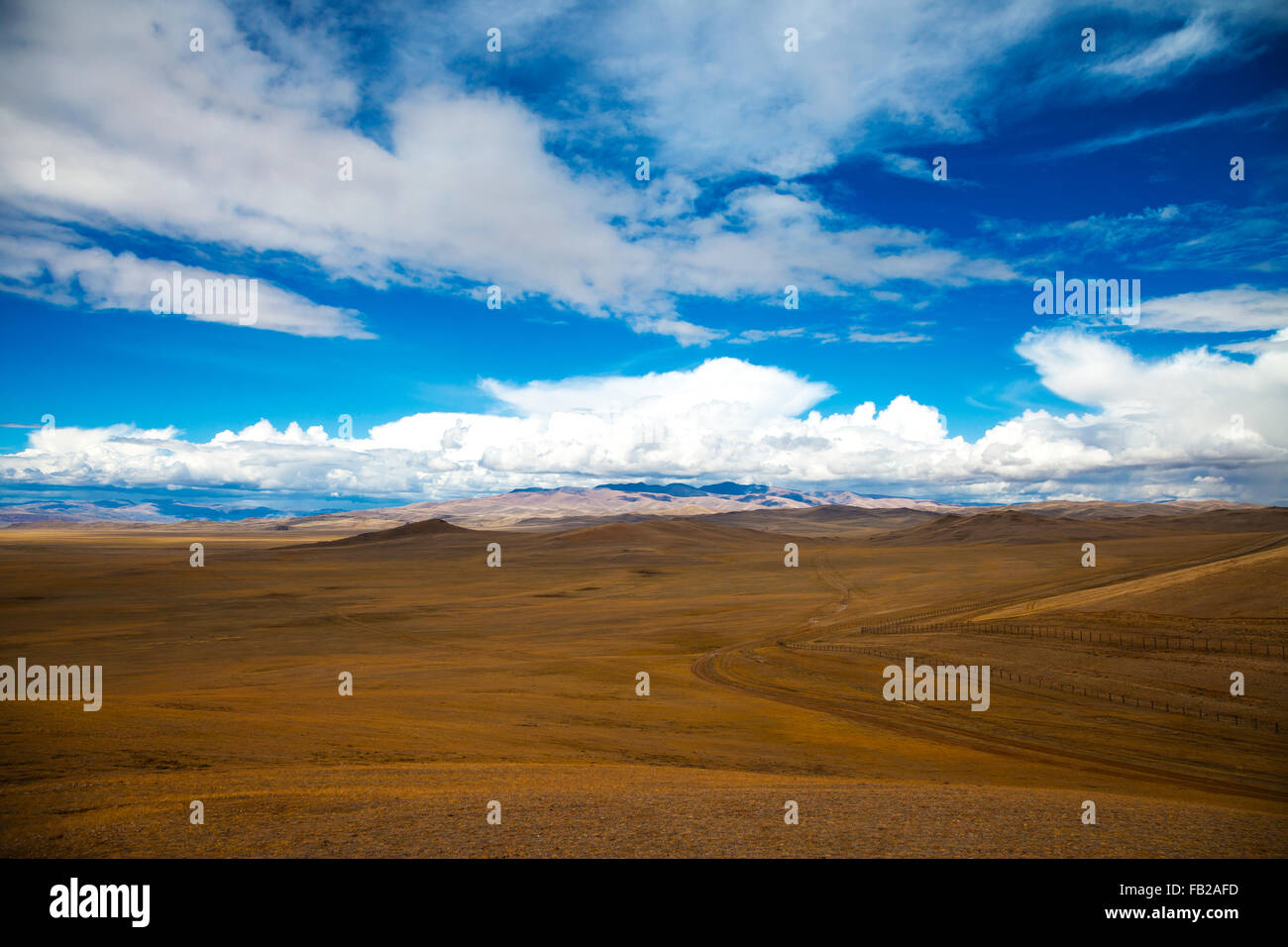 La strada attraversa la steppa, montagne, cielo blu con nuvole. Chuya nella steppa siberiana montagne di Altai, Russia Foto Stock