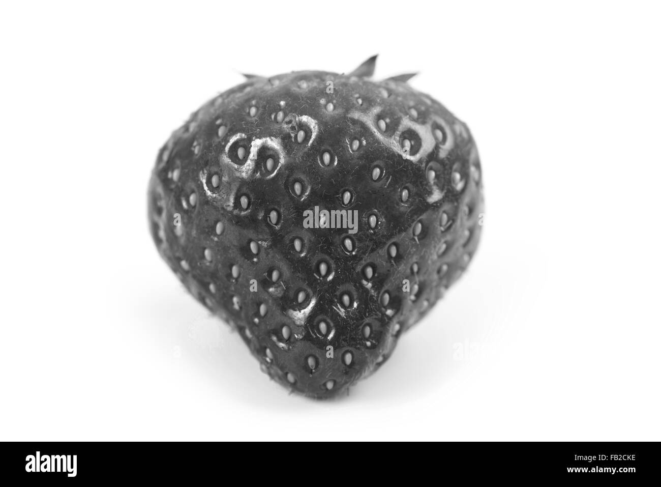 Fresh Bianco e nero isolato di fragola Foto Stock