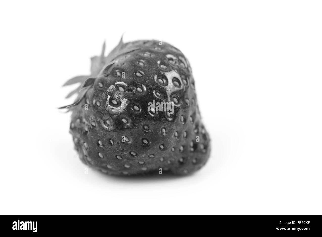 Fresh Bianco e nero isolato di fragola Foto Stock