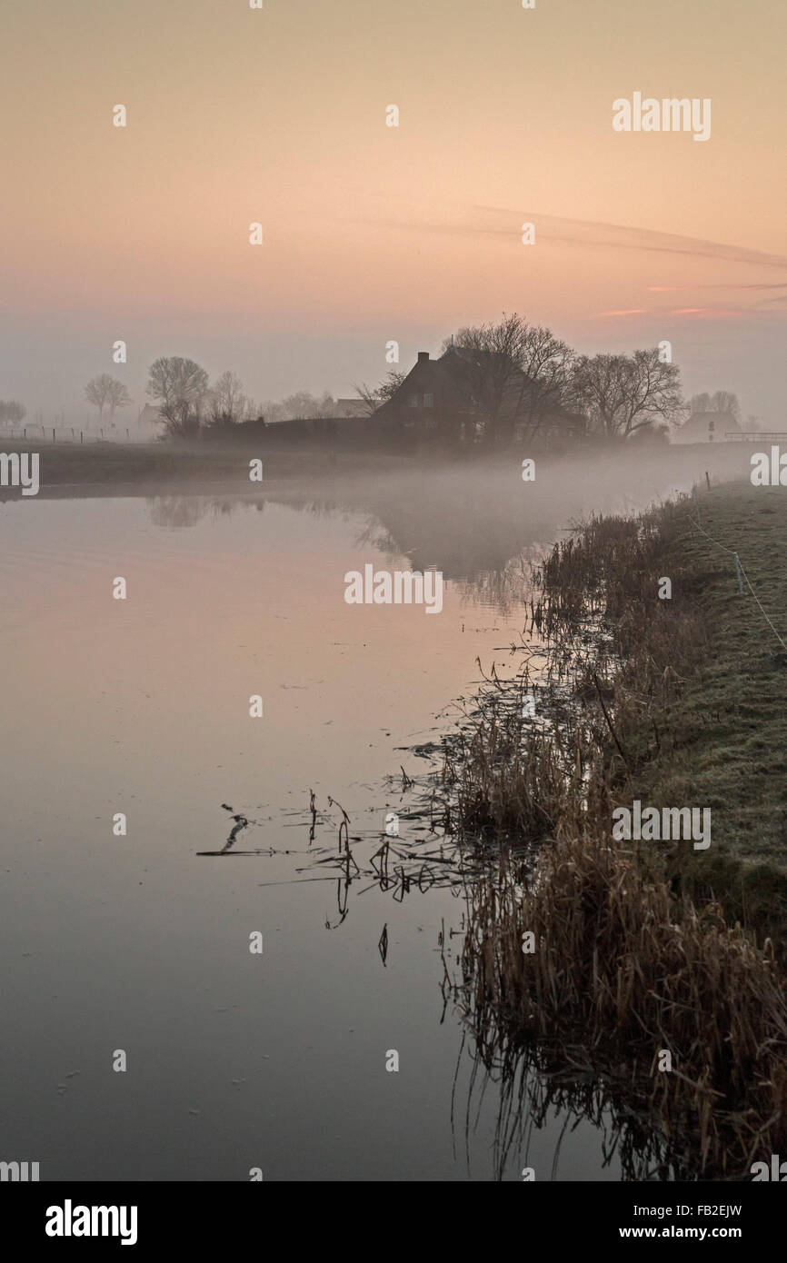 Paesi Bassi, Ee, Agriturismo vicino torrente chiamato Zuider Ee nella nebbia di mattina Foto Stock