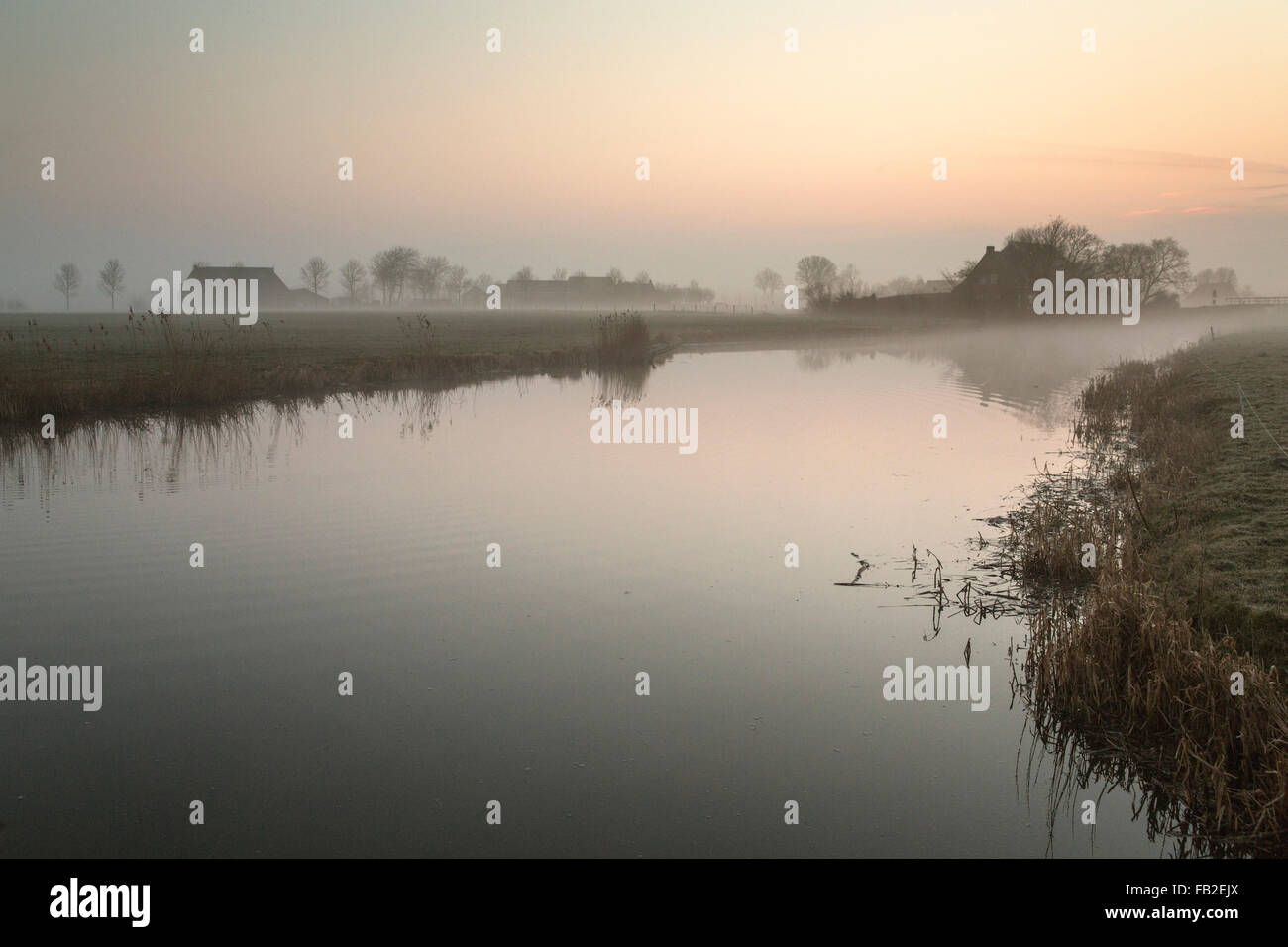 Paesi Bassi, Ee, fattorie vicino torrente chiamato Zuider Ee nella nebbia di mattina Foto Stock