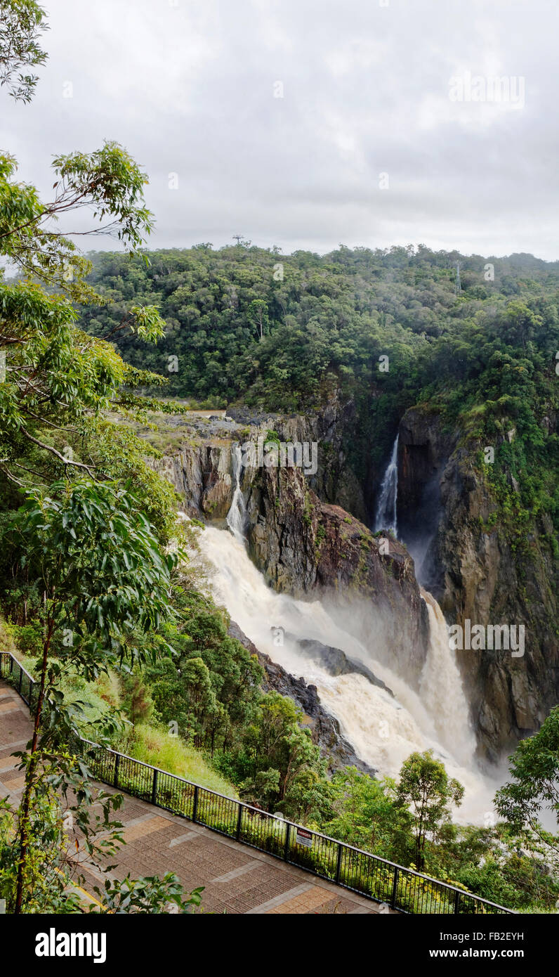 Barron Falls è una cascata a livelli cascata sul Fiume Barron vicino a Cairns Queensland Australia Foto Stock