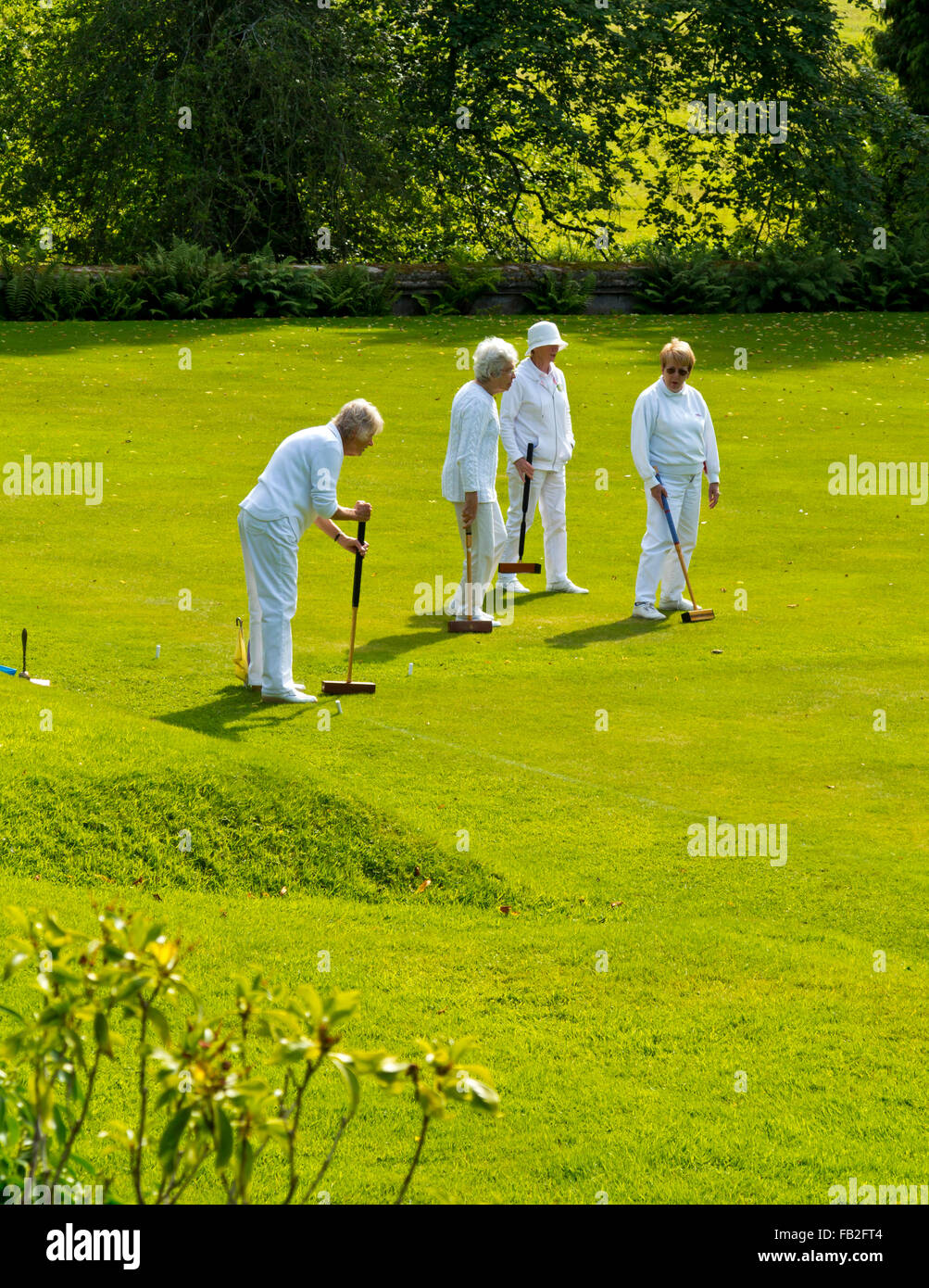 Gruppo di persone anziane donne caucasici giocando croquet su un prato verde in un sole estivo Foto Stock