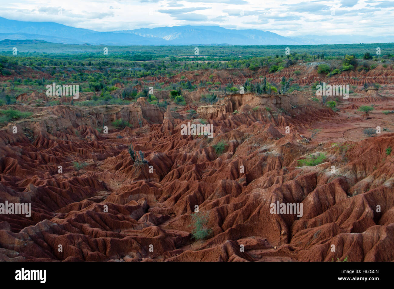 Panoramica di sabbia rossa la formazione di pietra di Tatacoa desert in Huila, Foto Stock