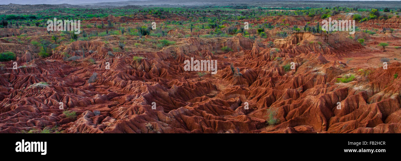 Panoramica di sabbia rossa la formazione di pietra di Tatacoa desert in Huila, Foto Stock