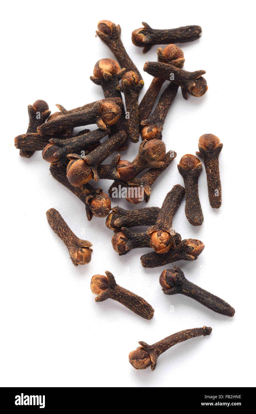 Materie organiche di chiodi di garofano nero, tiro con l'obiettivo macro Foto Stock