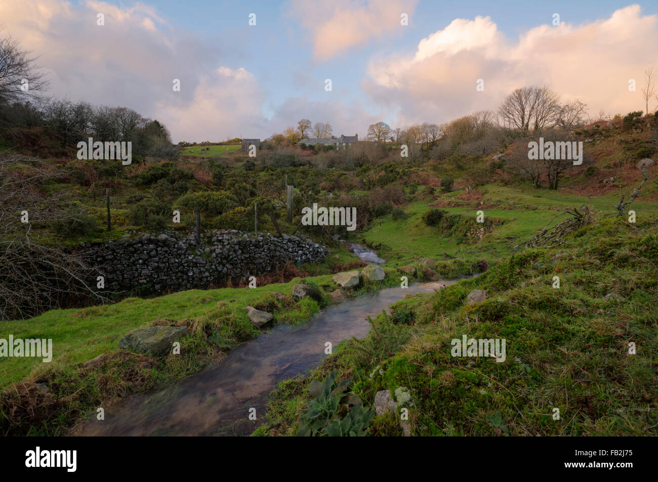 Rurale scena a Gonamena vicino Caradon Hill in Bodmin Moor Foto Stock