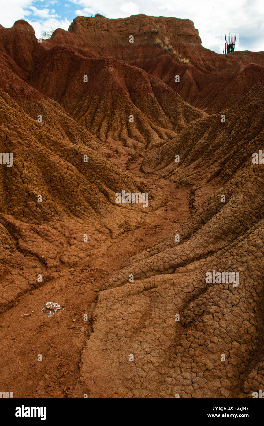 Siccità valle di arenaria rossa e la formazione di roccia nel caldo secco del deserto di Tatacoa, Huila Foto Stock