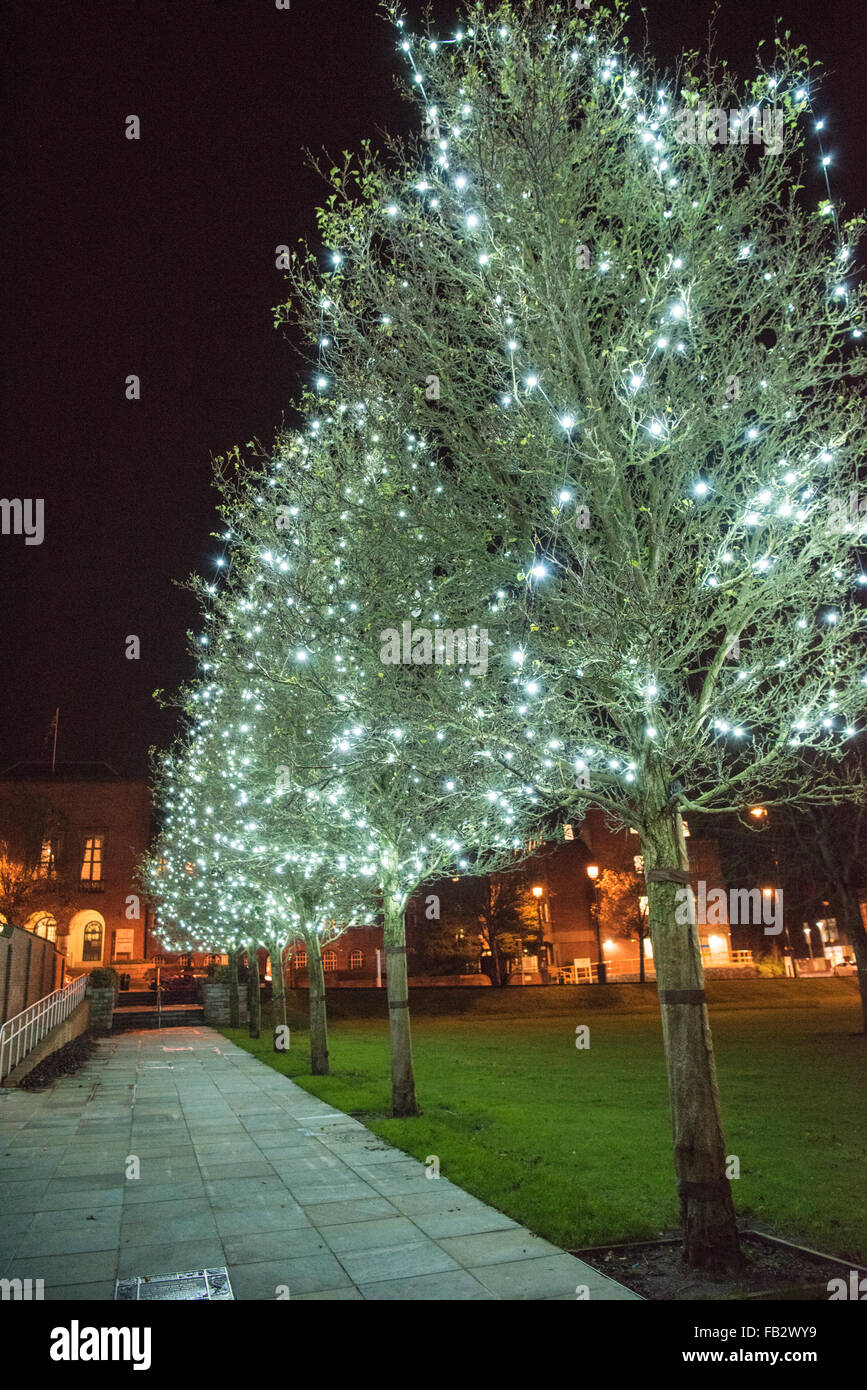 Dudley Casa Consiglio illuminata di notte e di una fila di alberi in Priory Park con le luci di Natale a decorarle Foto Stock