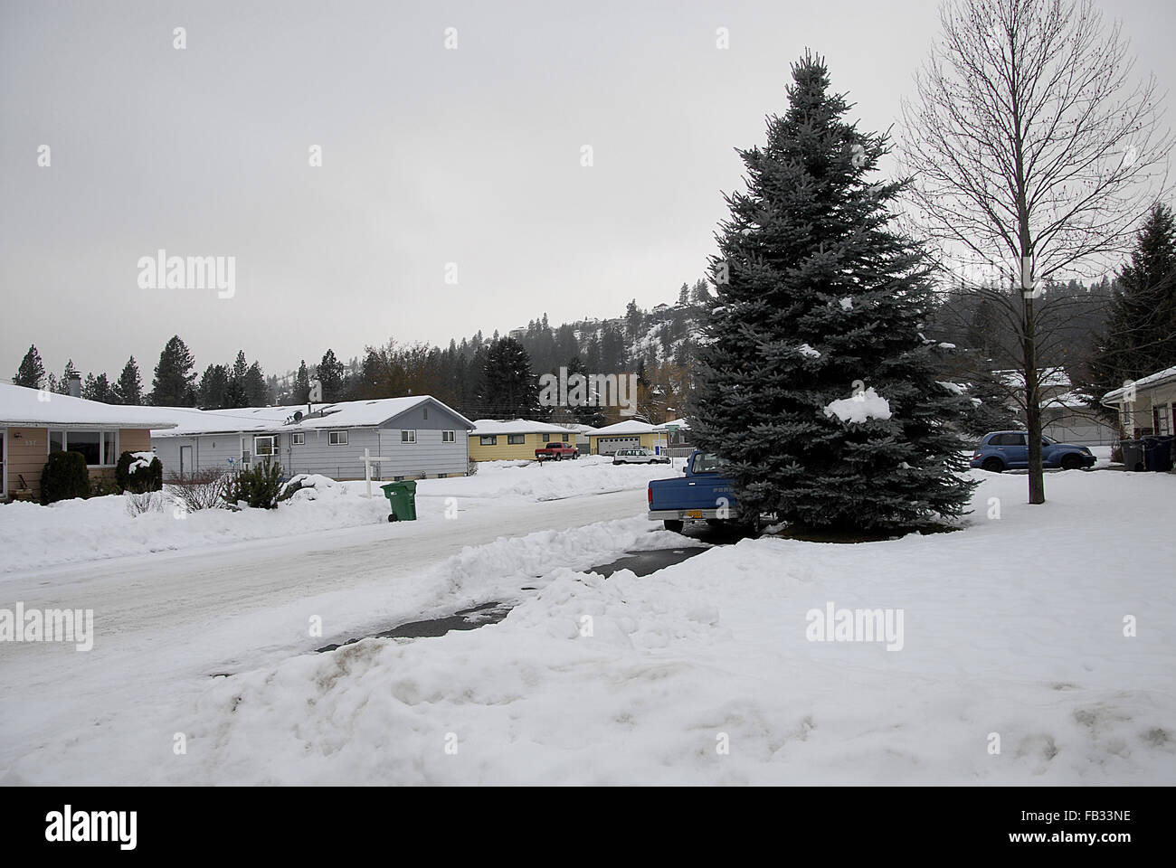 Spokane, Washington, Stati Uniti d'America. Il 7 gennaio, 2016. Neve pesante caduta in Spokane Washington State Credito: Francesco Dean/Alamy Live News Foto Stock