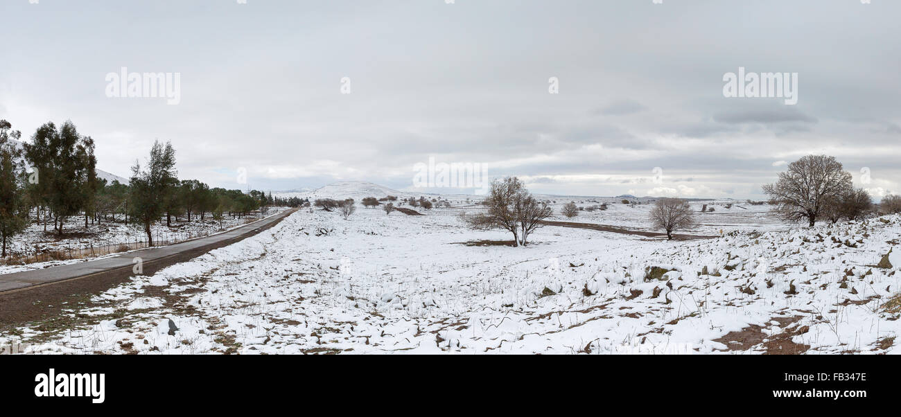 Su strada e la neve in alture del Golan in Israele Foto Stock