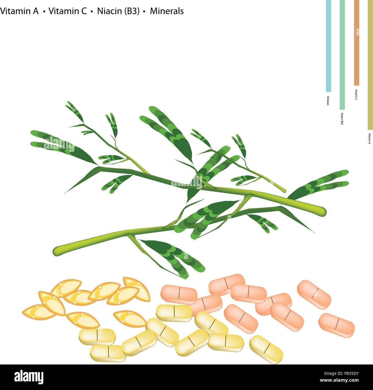 Il concetto di assistenza sanitaria, illustrazione di acqua Mimosa con la vitamina A e la vitamina C, niacina o B3 e minerali Tablet, nutriente essenziale Illustrazione Vettoriale