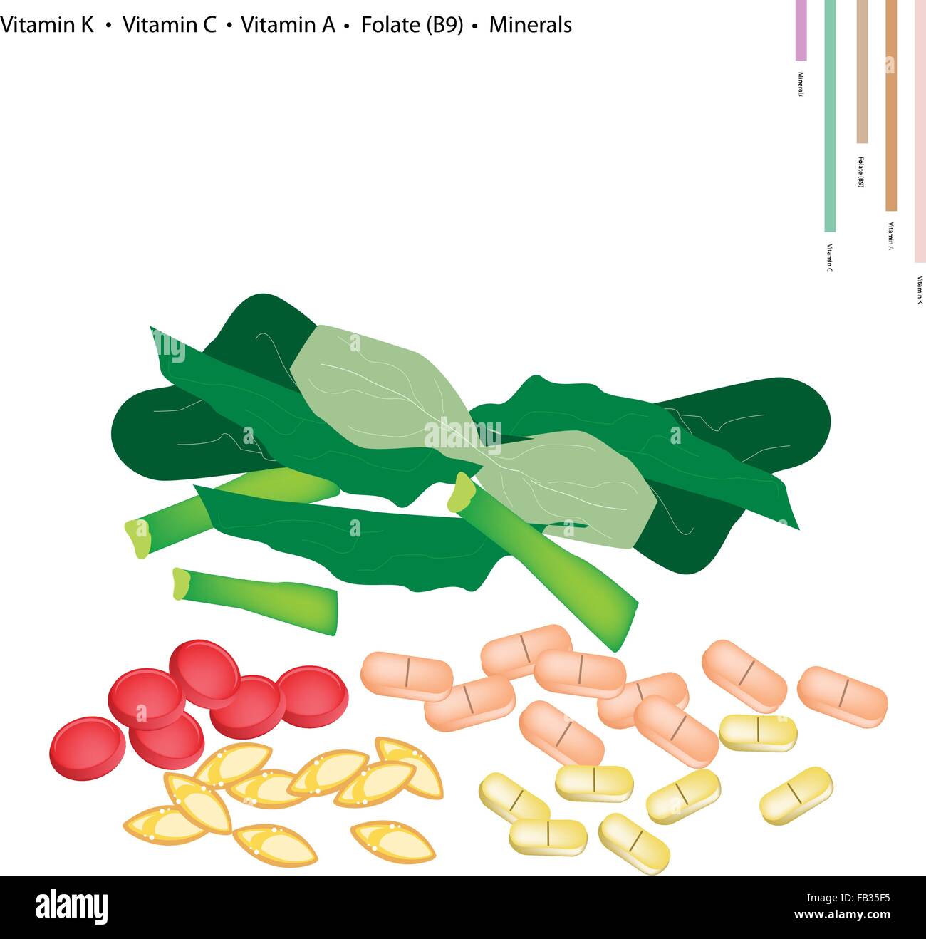 Il concetto di assistenza sanitaria, illustrazione di cavolo cinese o broccoli cinesi con la vitamina K, la vitamina C e la vitamina A, folato o B9 e Miniera Illustrazione Vettoriale