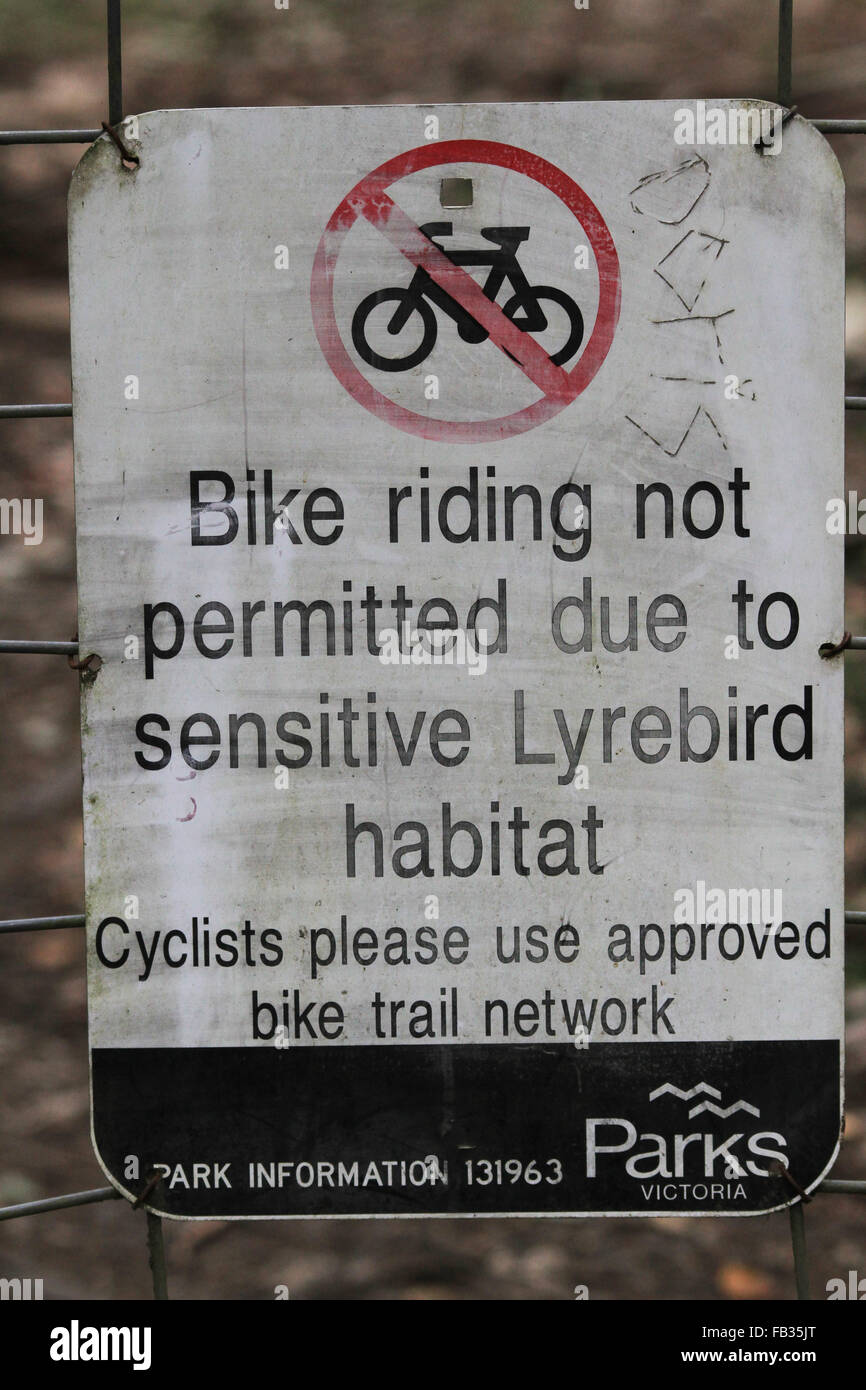 Informazioni registrazione su habitat Lyrebird, Dandenong National Park, Melbourne, Australia Foto Stock