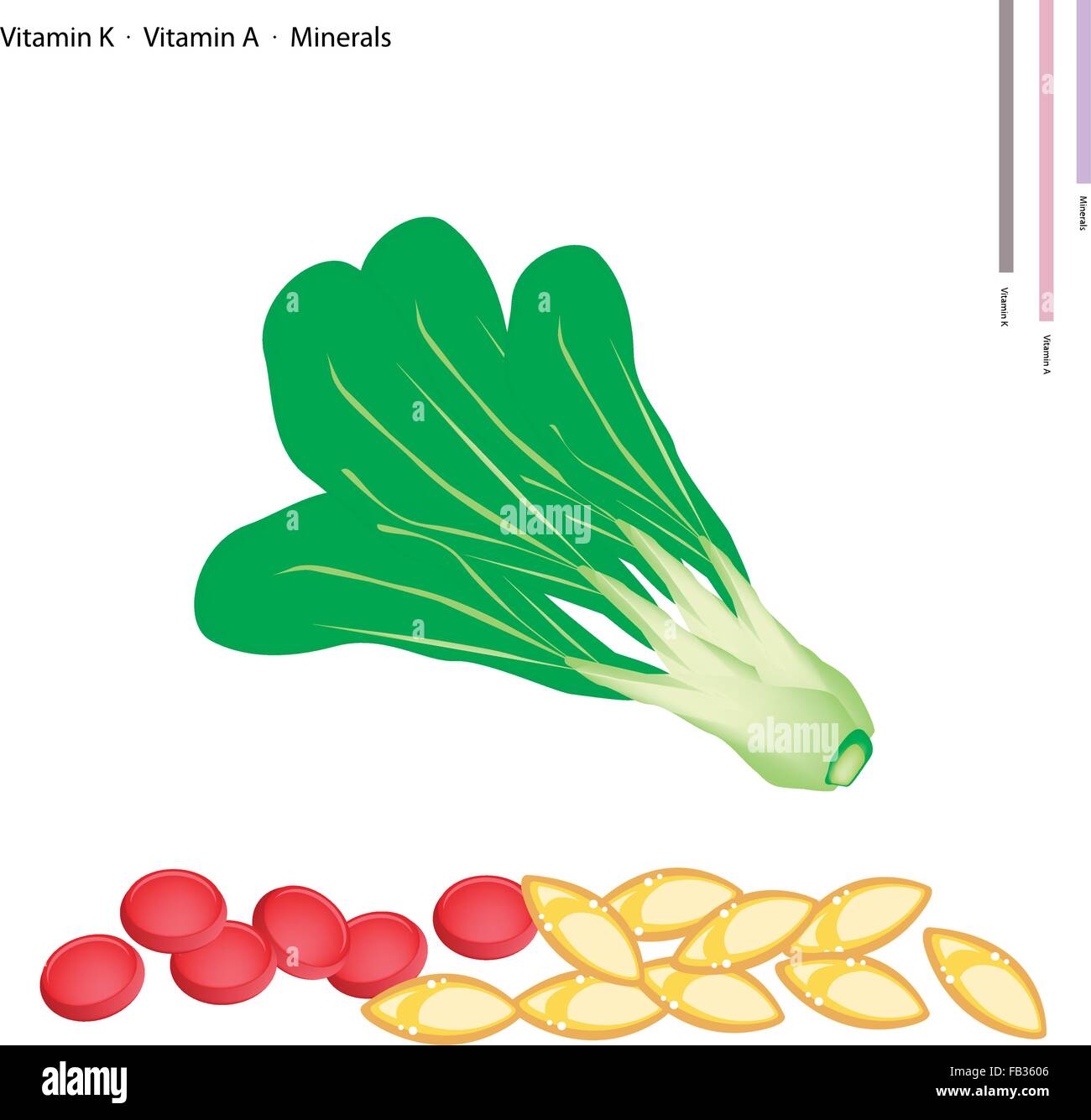 Il concetto di assistenza sanitaria, illustrazione di baby bok choi, Pok Choi o pak choi con la vitamina K, la vitamina A e di sali minerali Tablet, essenziale Illustrazione Vettoriale