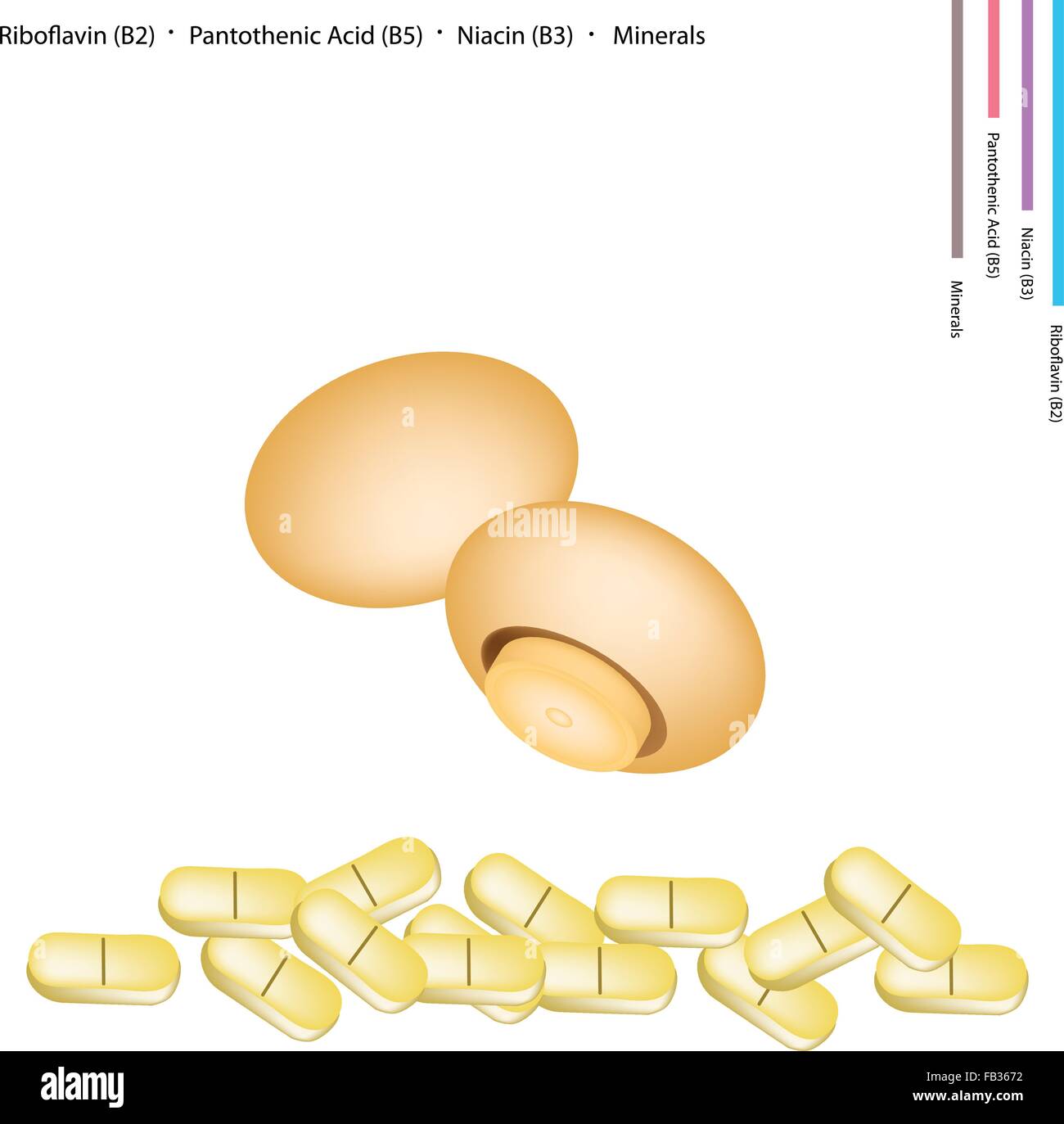 Il concetto di assistenza sanitaria, funghi champignon con riboflavina B2, Acido Pantotenico B5, Niacina B3 e minerali Tablet, essenziale Nutr Illustrazione Vettoriale