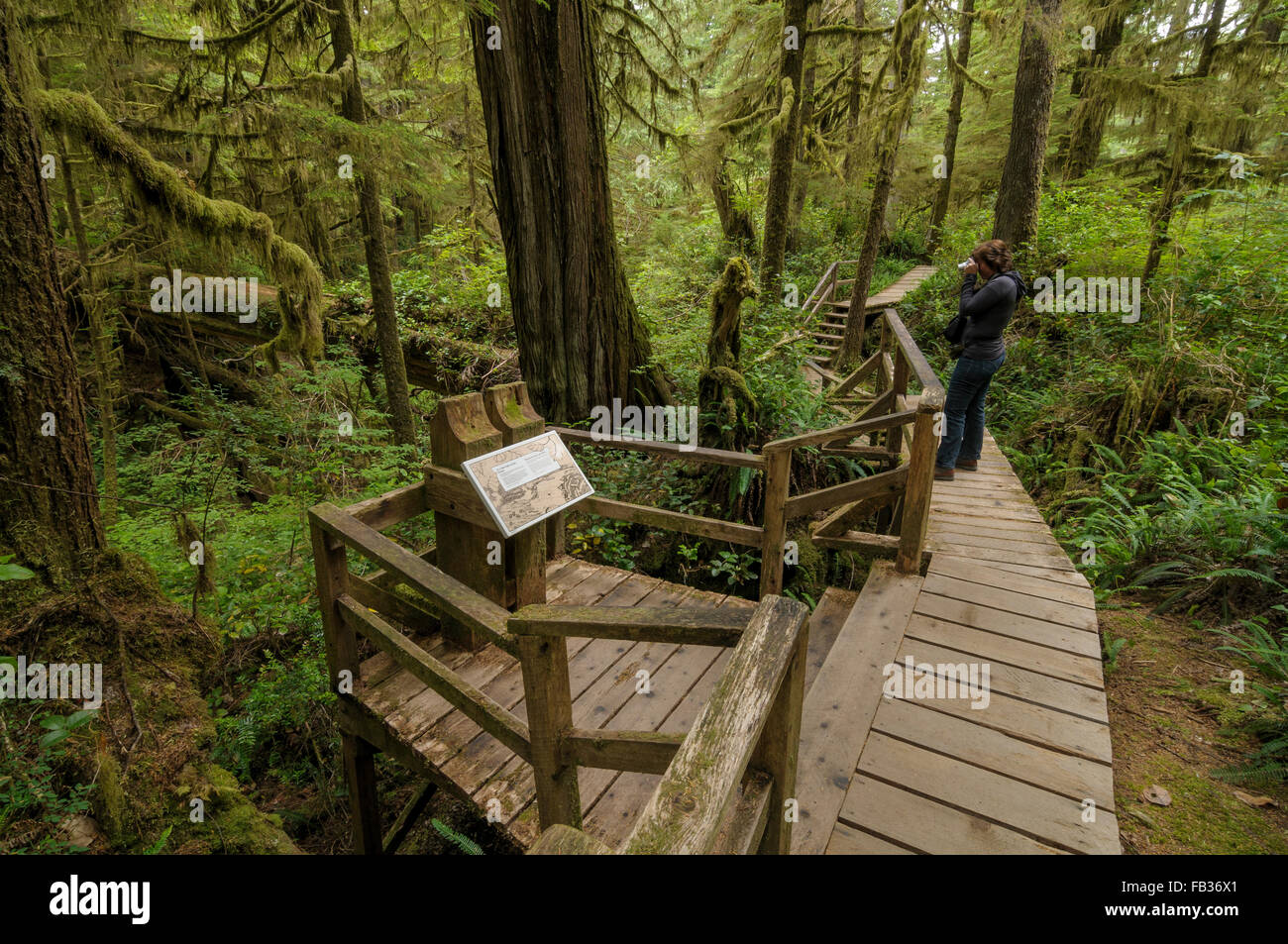 Passeggiata attraverso la foresta pluviale, Pacific Rim National Park, BC, Canada Occidentale Foto Stock