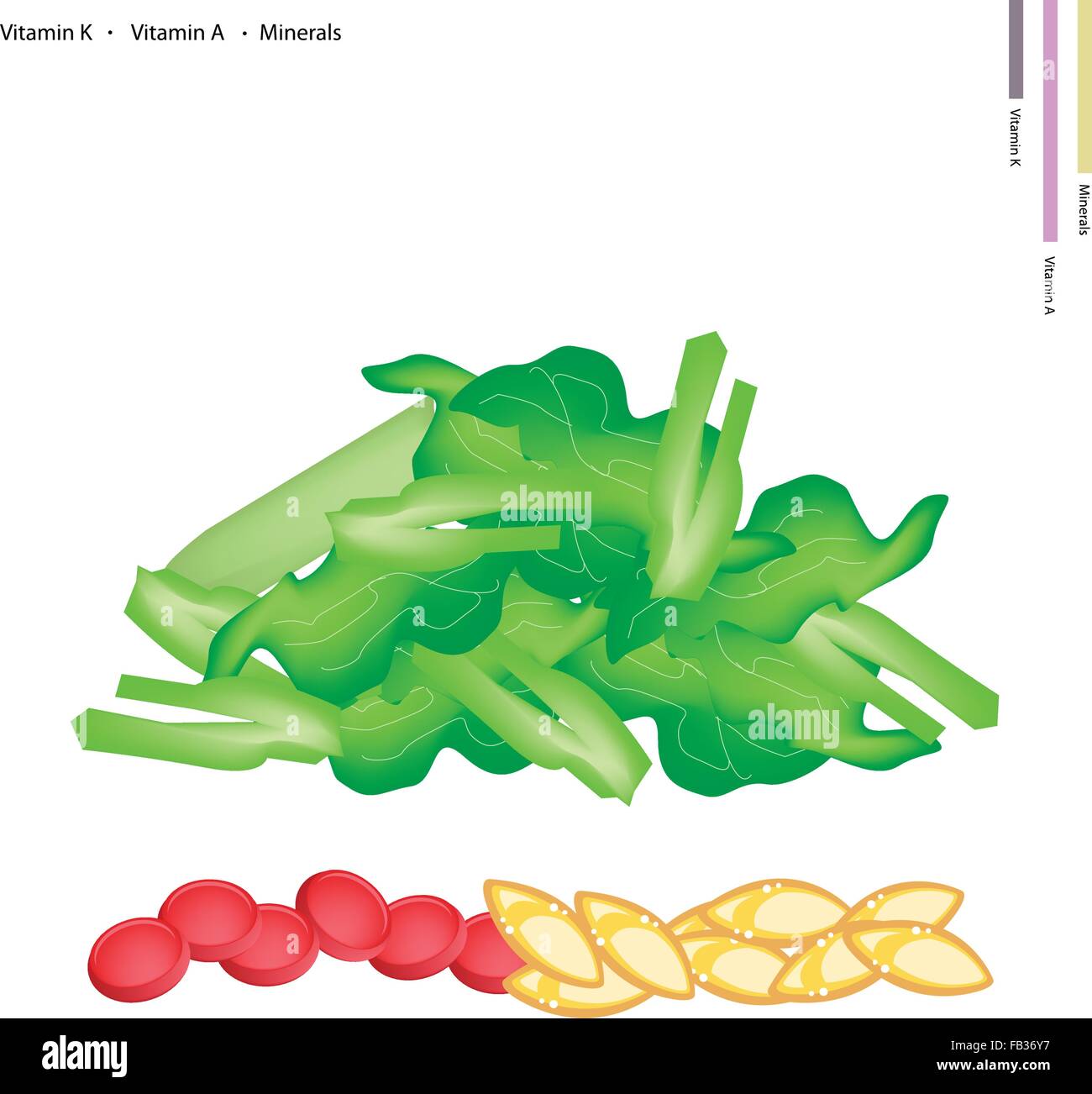 Il concetto di assistenza sanitaria, illustrazione di trito di cavolo cinese, Pok Choi o pak choi con la vitamina K, la vitamina A e di sali minerali Tablet, Essent Illustrazione Vettoriale