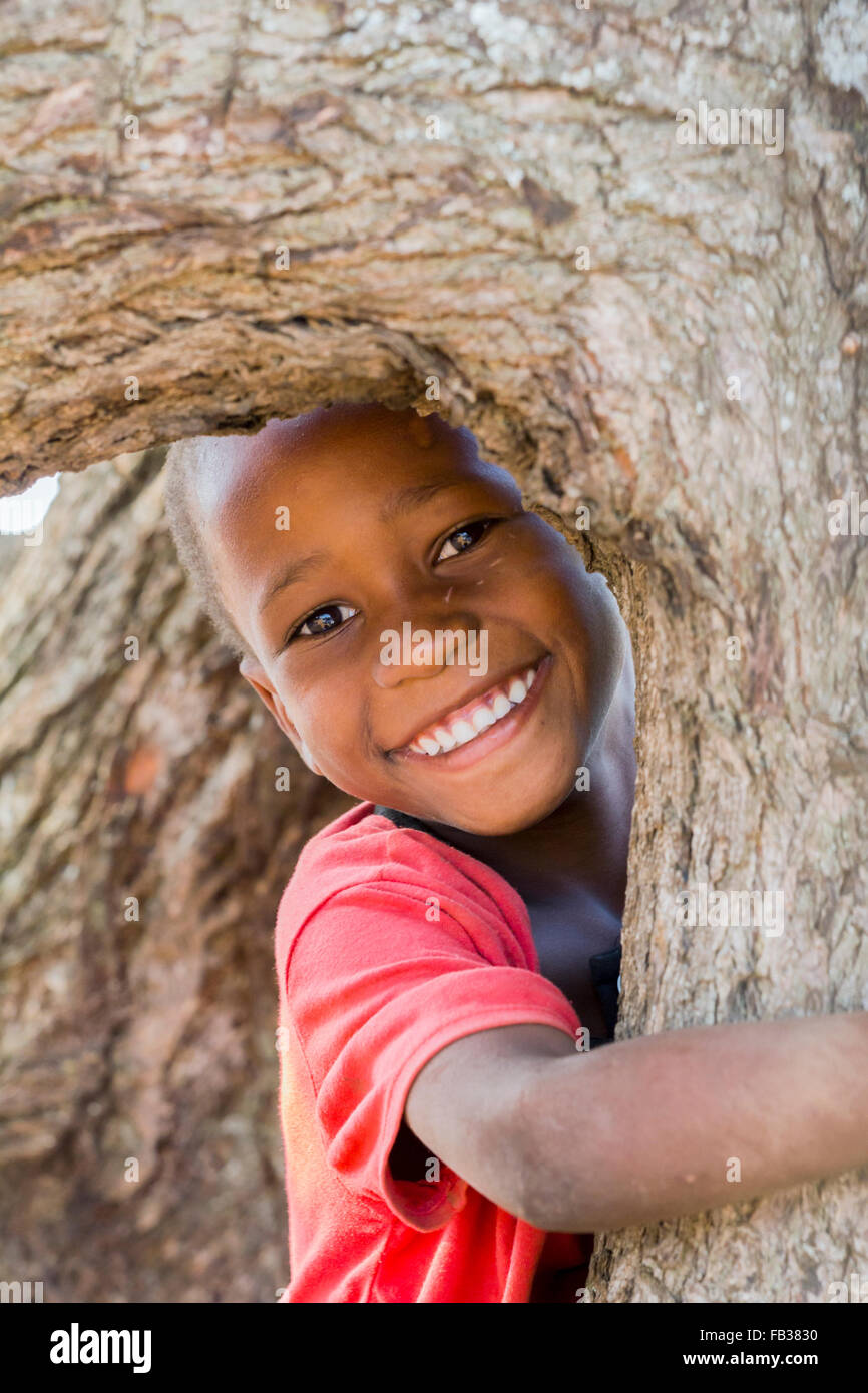 Mbale, Uganda - Gennaio 28, 2011: allegro e capretto felice da Est Uganda arrampicata su un albero Foto Stock