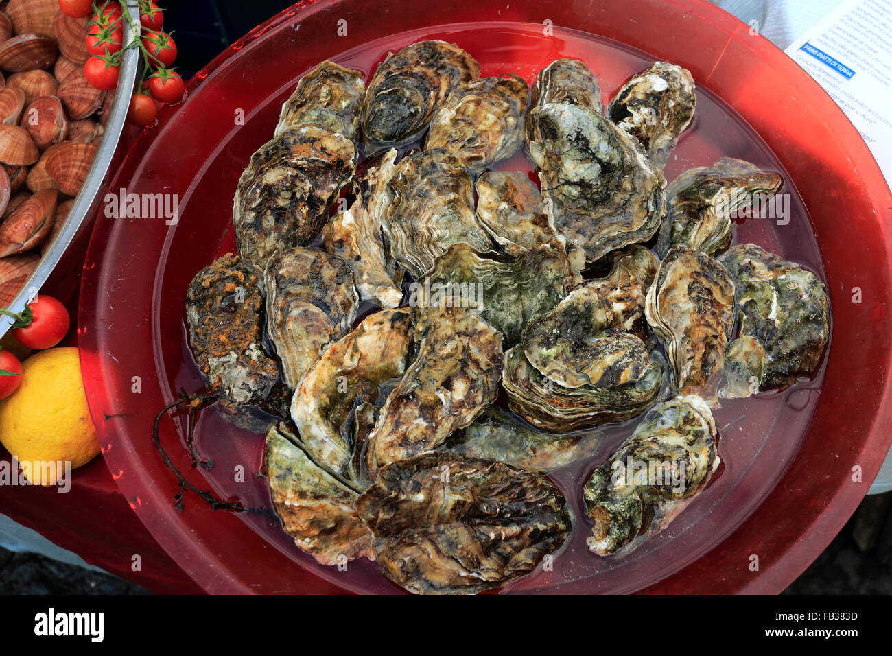 Ostriche, pesce fresco in stallo il Borgo Marina, centro storico della città di Napoli, Sito Patrimonio Mondiale dell'UNESCO Regione Campania ITALIA Foto Stock