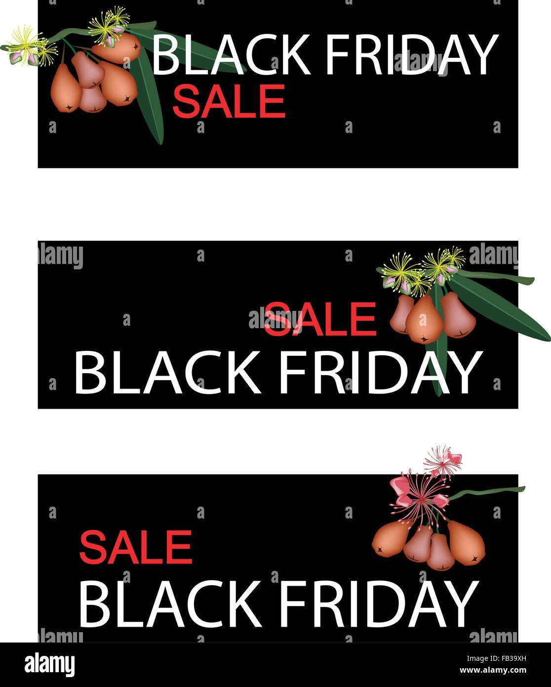 Illustrazione di acqua Apple o Apple di rose sul Venerdì nero Shopping banner per iniziare lo shopping natalizio stagione. Illustrazione Vettoriale