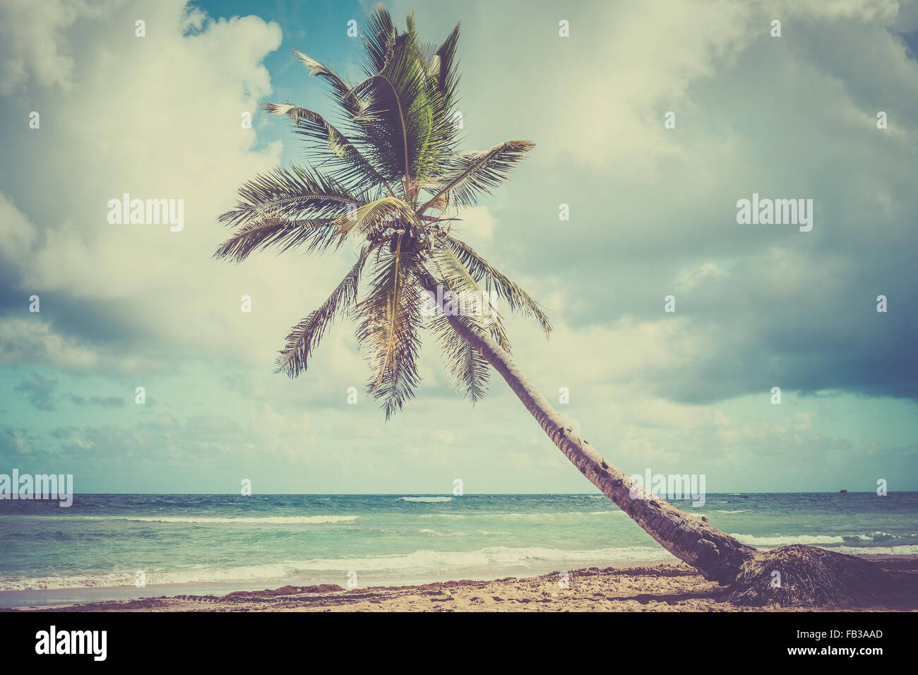 Palm tree oltre il mare dei caraibi nella Repubblica Dominicana Foto Stock